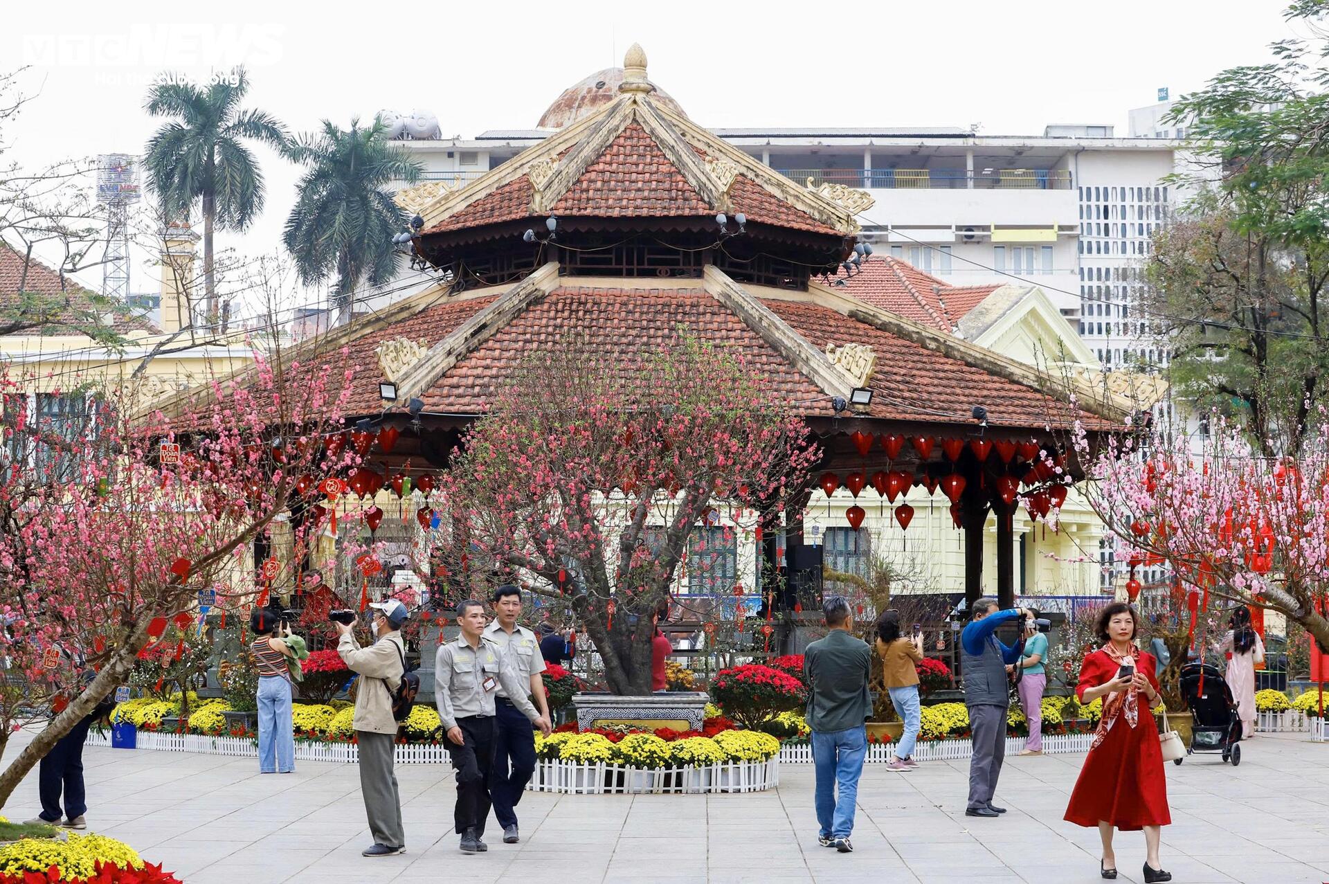 Điểm check-in hoa đào 'hot' nhất Hà Nội những ngày cận Tết - 16