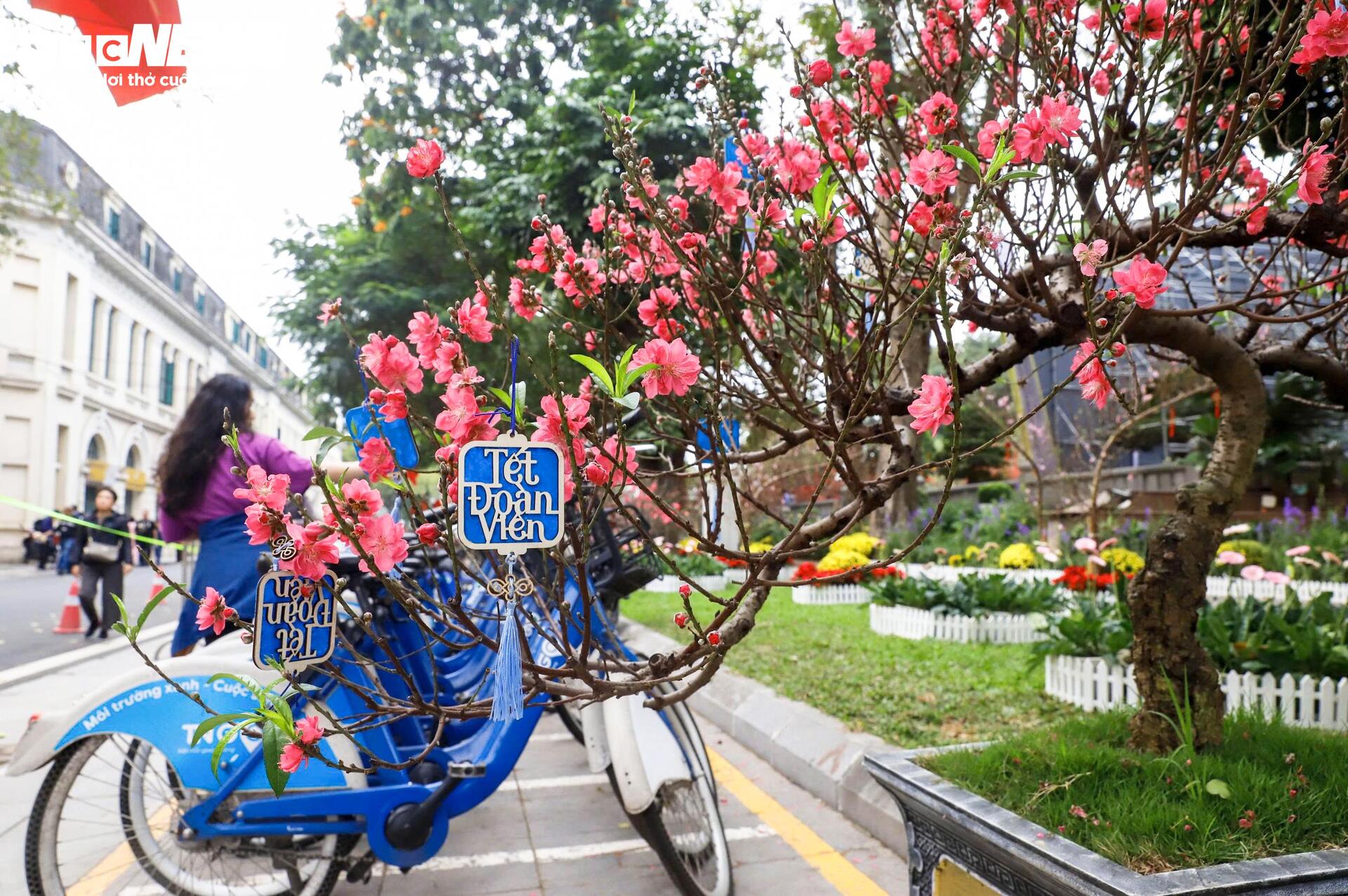 Điểm check-in hoa đào 'hot' nhất Hà Nội những ngày cận Tết - 2