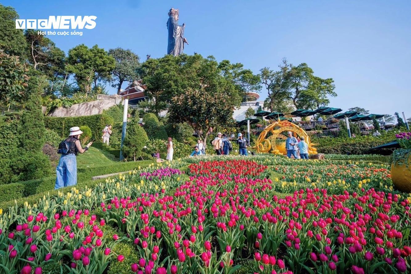 Đầu năm lên núi Bà Đen check-in với vườn hoa tulip rực sắc - 2
