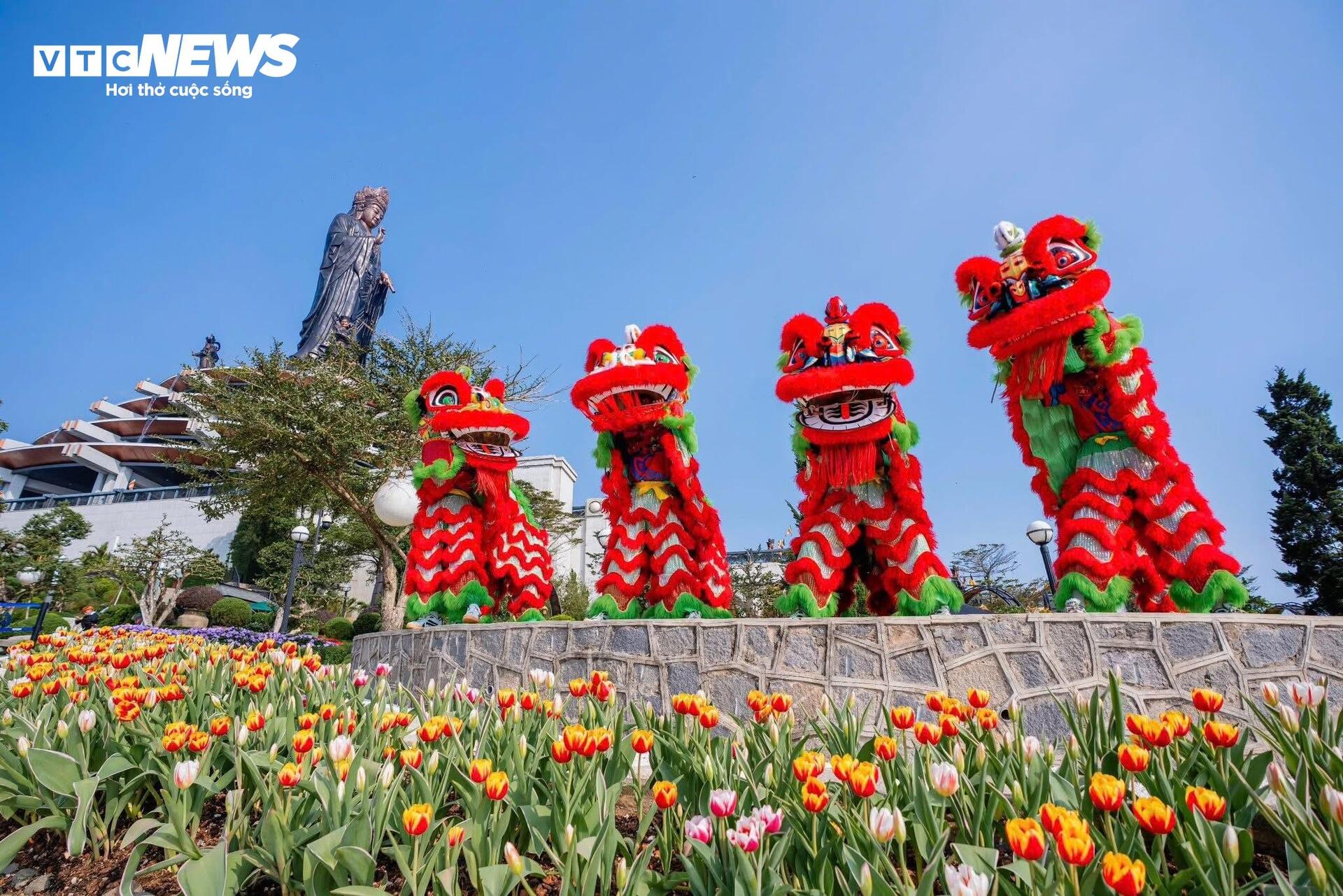 Đầu năm lên núi Bà Đen check-in với vườn hoa tulip rực sắc - 10