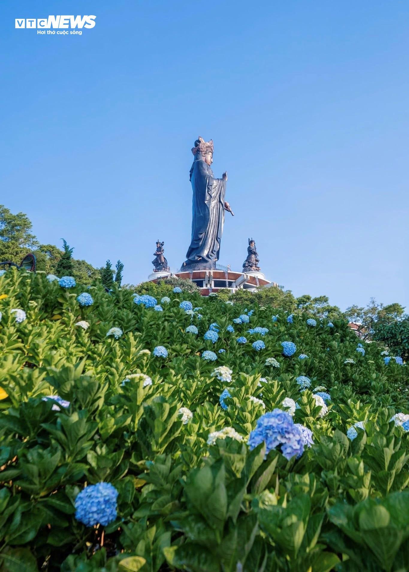 Đầu năm lên núi Bà Đen check-in với vườn hoa tulip rực sắc - 14