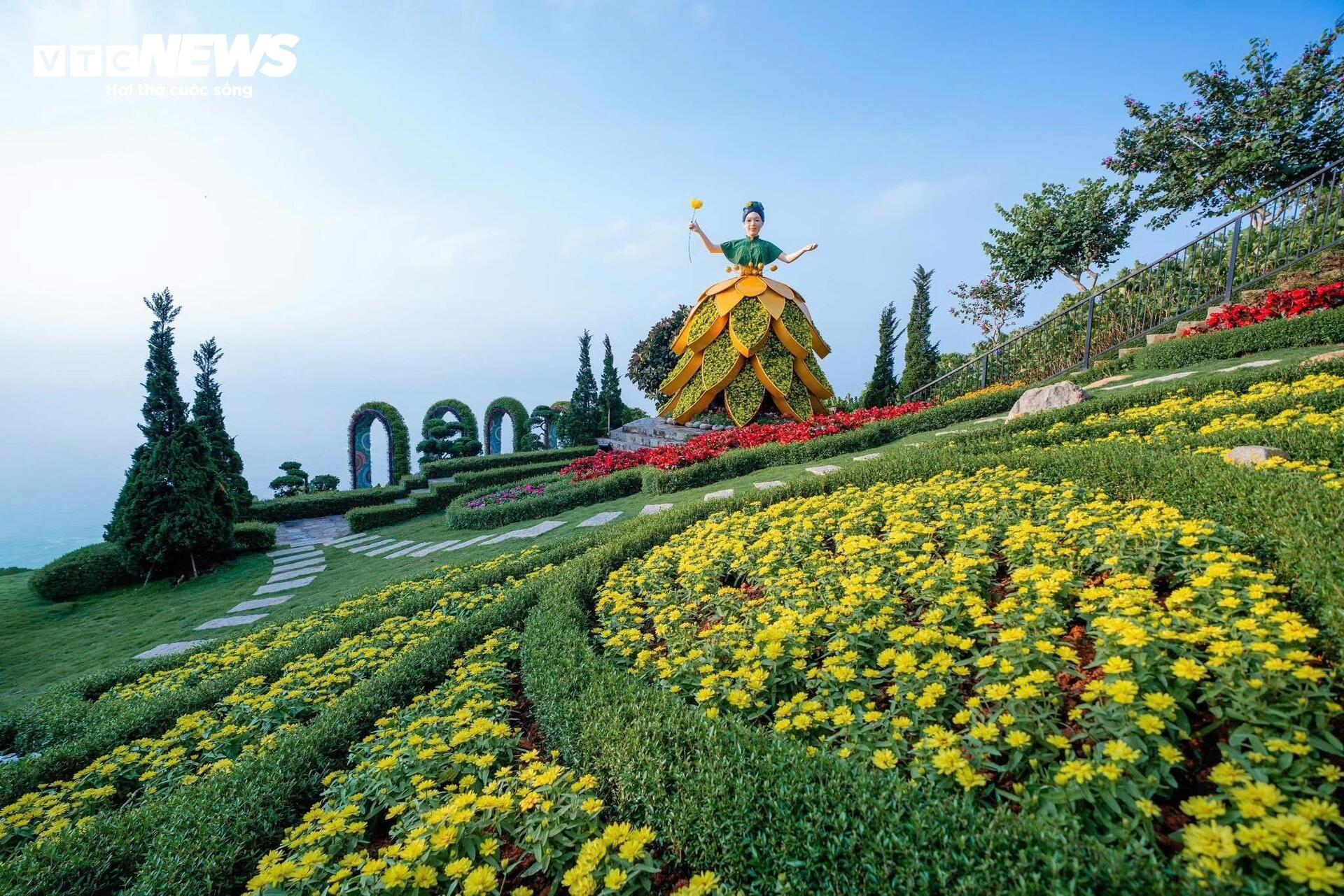 Đầu năm lên núi Bà Đen check-in với vườn hoa tulip rực sắc - 16