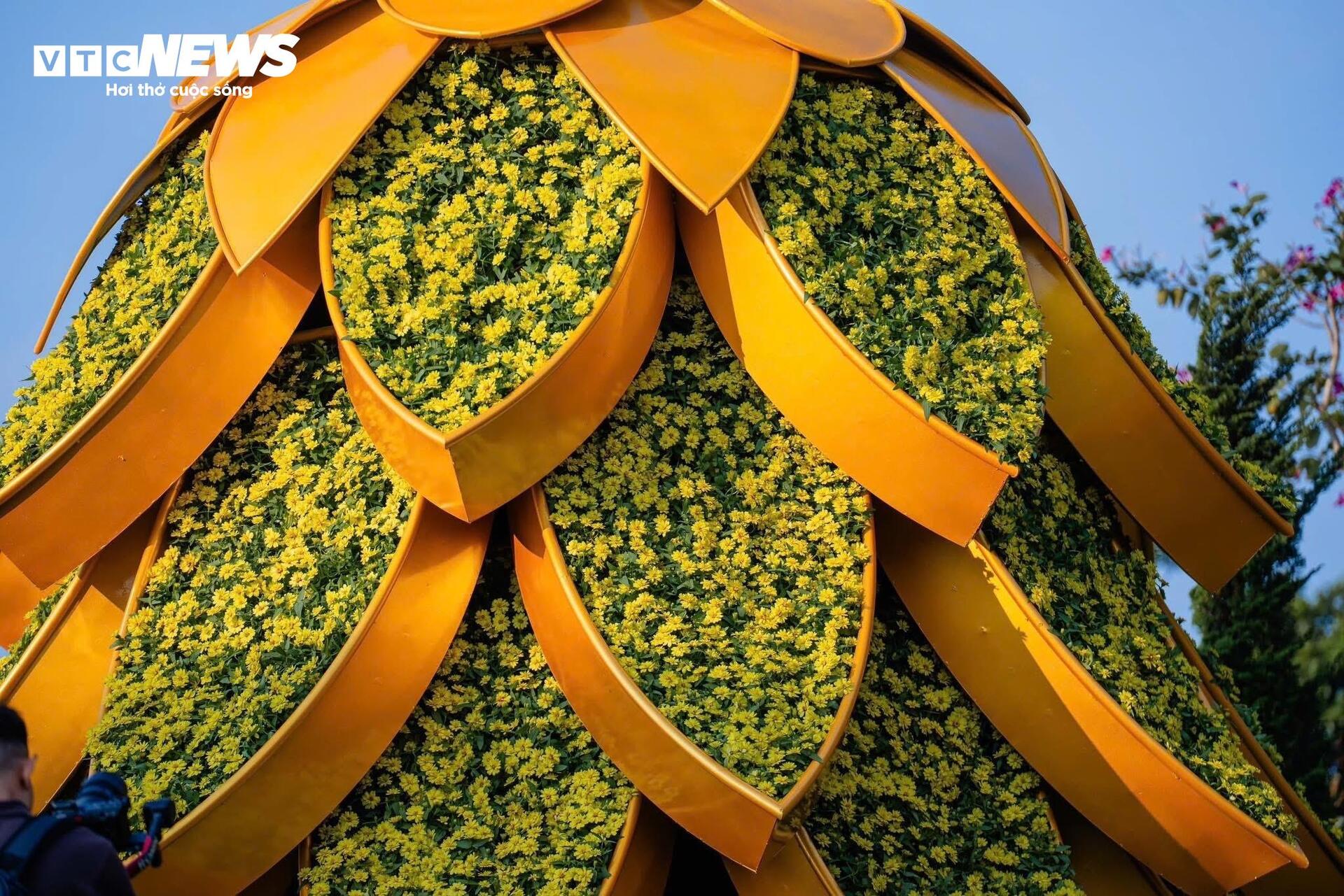 Đầu năm lên núi Bà Đen check-in với vườn hoa tulip rực sắc - 17