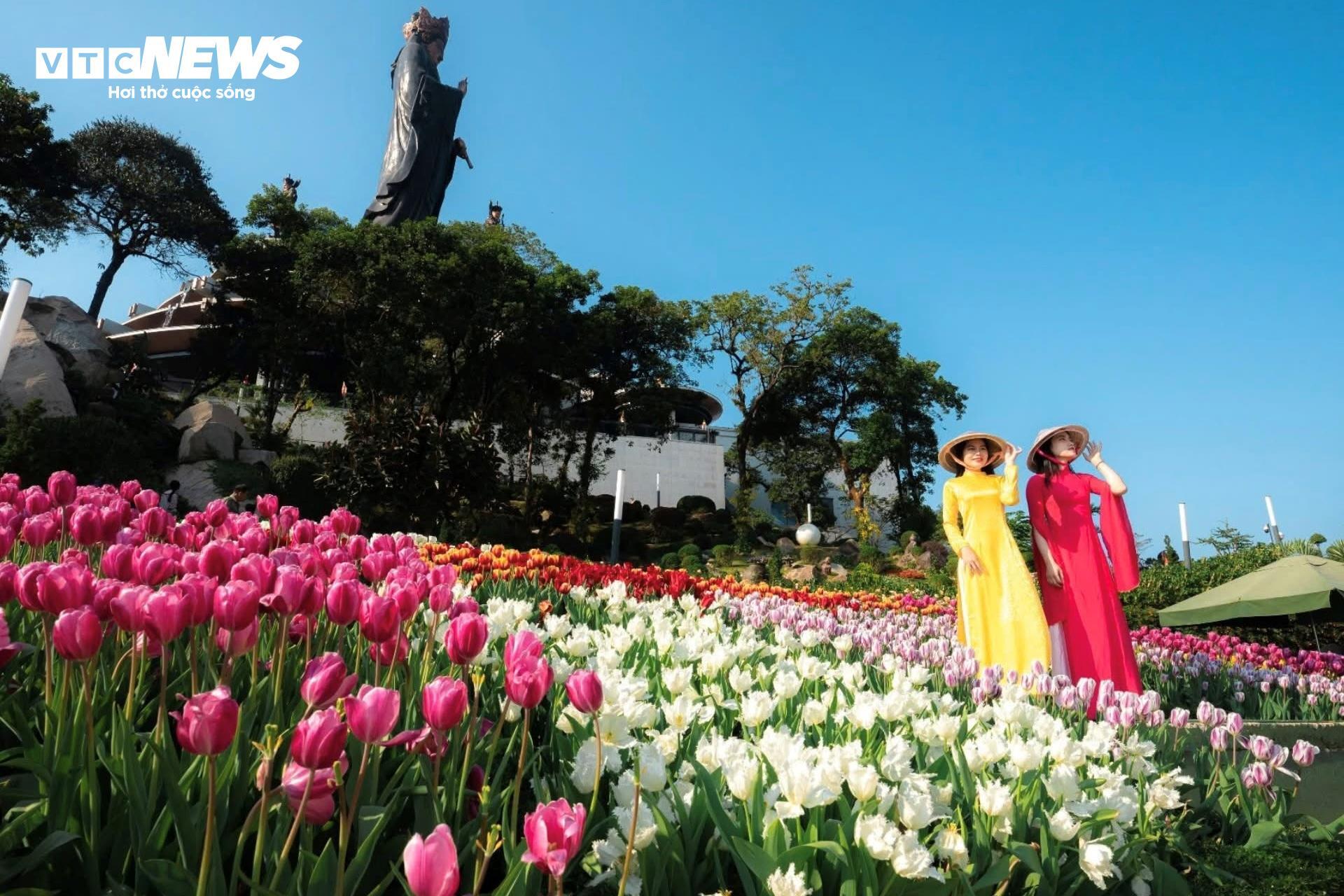 Đầu năm lên núi Bà Đen check-in với vườn hoa tulip rực sắc - 7