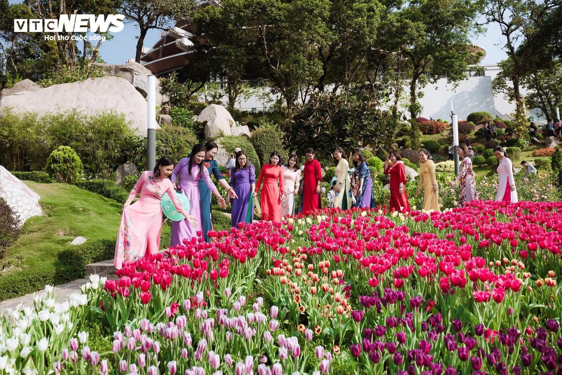 Đầu năm lên núi Bà Đen check-in với vườn hoa tulip rực sắc - 6