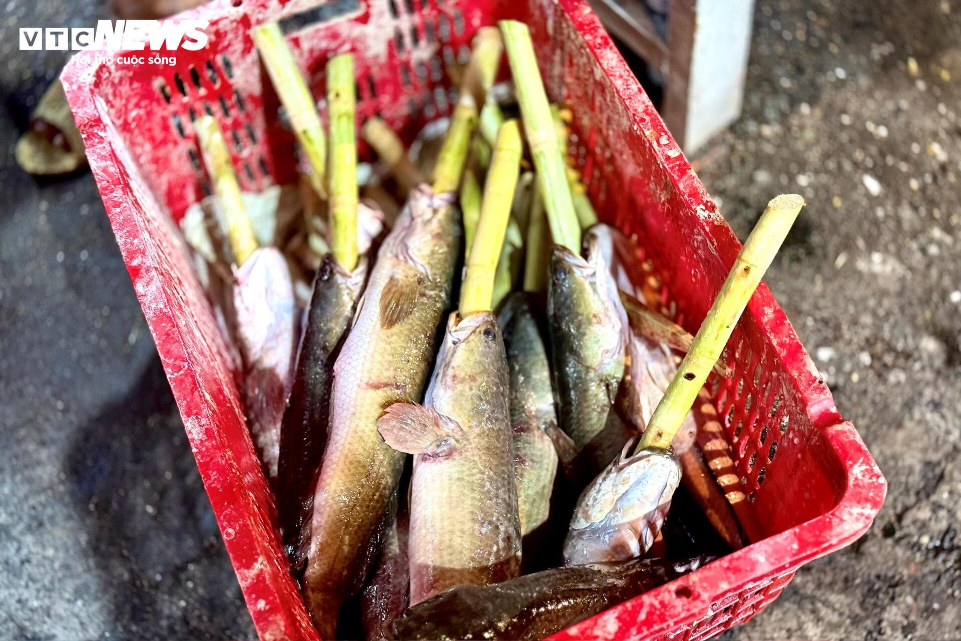 Phố cá lóc nướng TP.HCM dè dặt vào mùa Thần Tài - 9