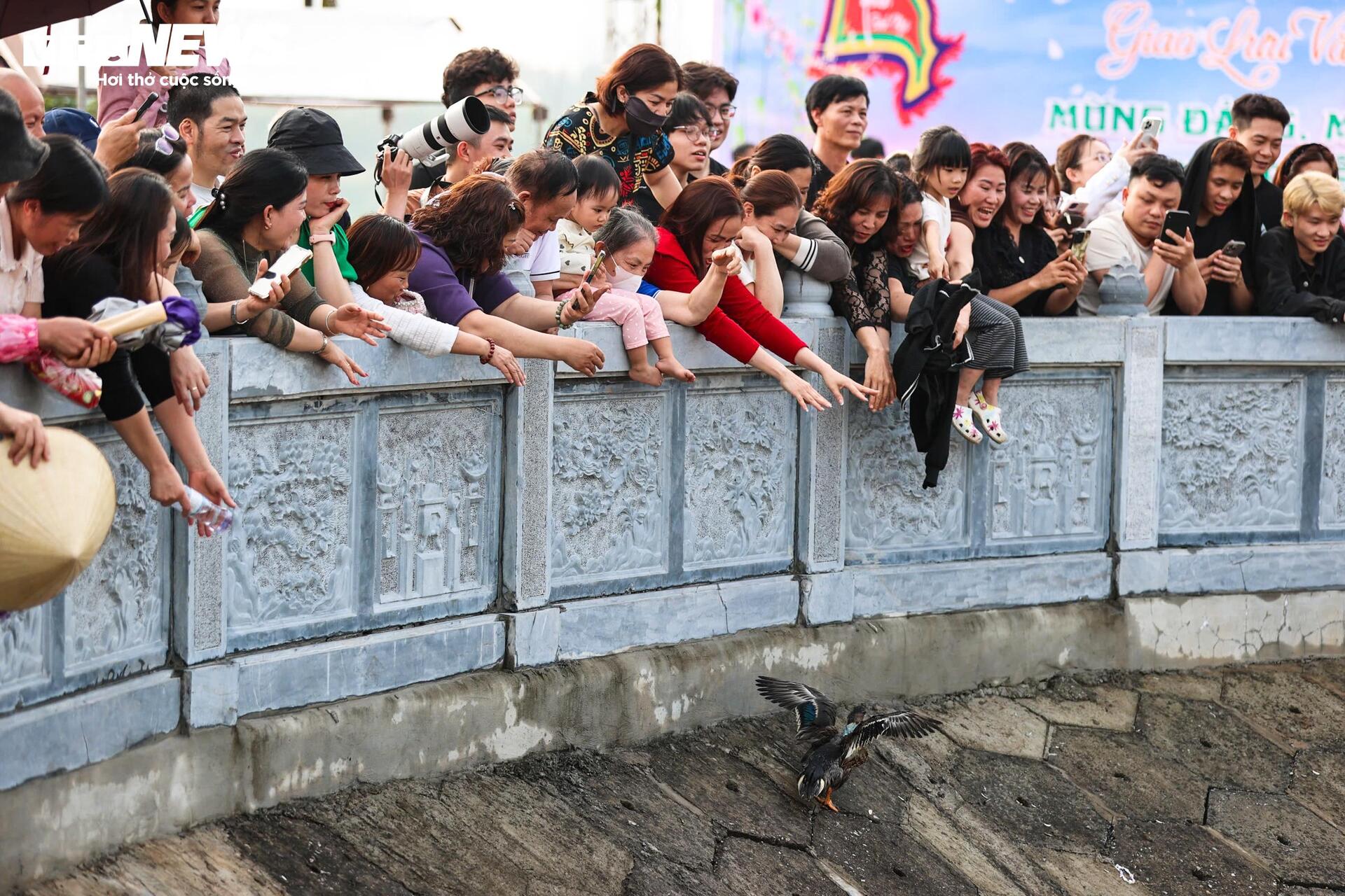 Trai gái làng gốm ở Hà Nội ngụp lặn săn ‘lộc vịt’ đầu xuân - 15