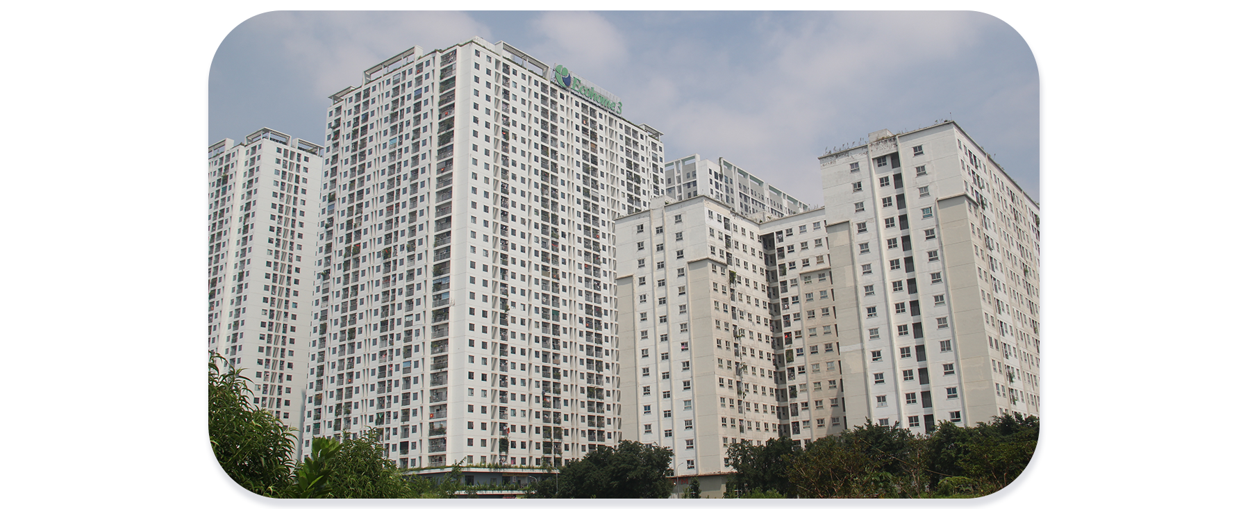 Bỗng dưng bị đuổi khỏi chung cư mua lại từ nhà ở xã hội - 5