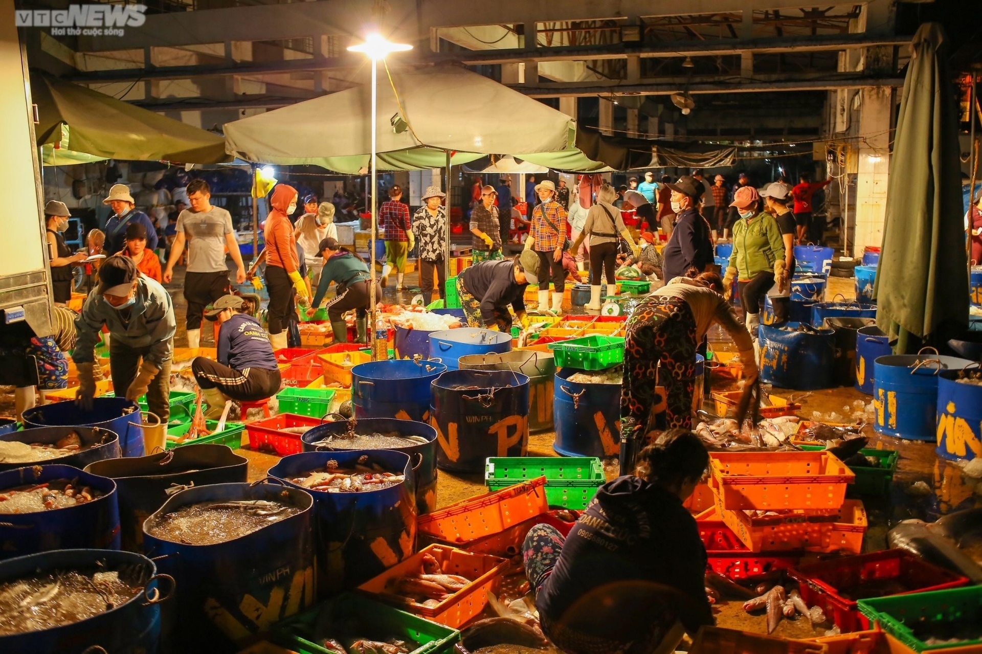 Những người phụ nữ gồng mình gánh sinh kế trên bến cá Tam Quan - 1