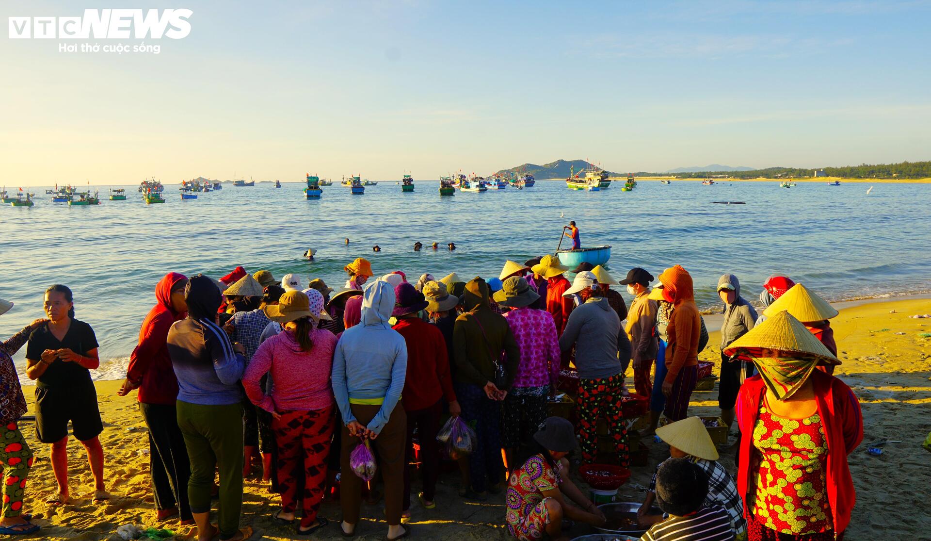 Những người phụ nữ gồng mình gánh sinh kế trên bến cá Tam Quan - 6