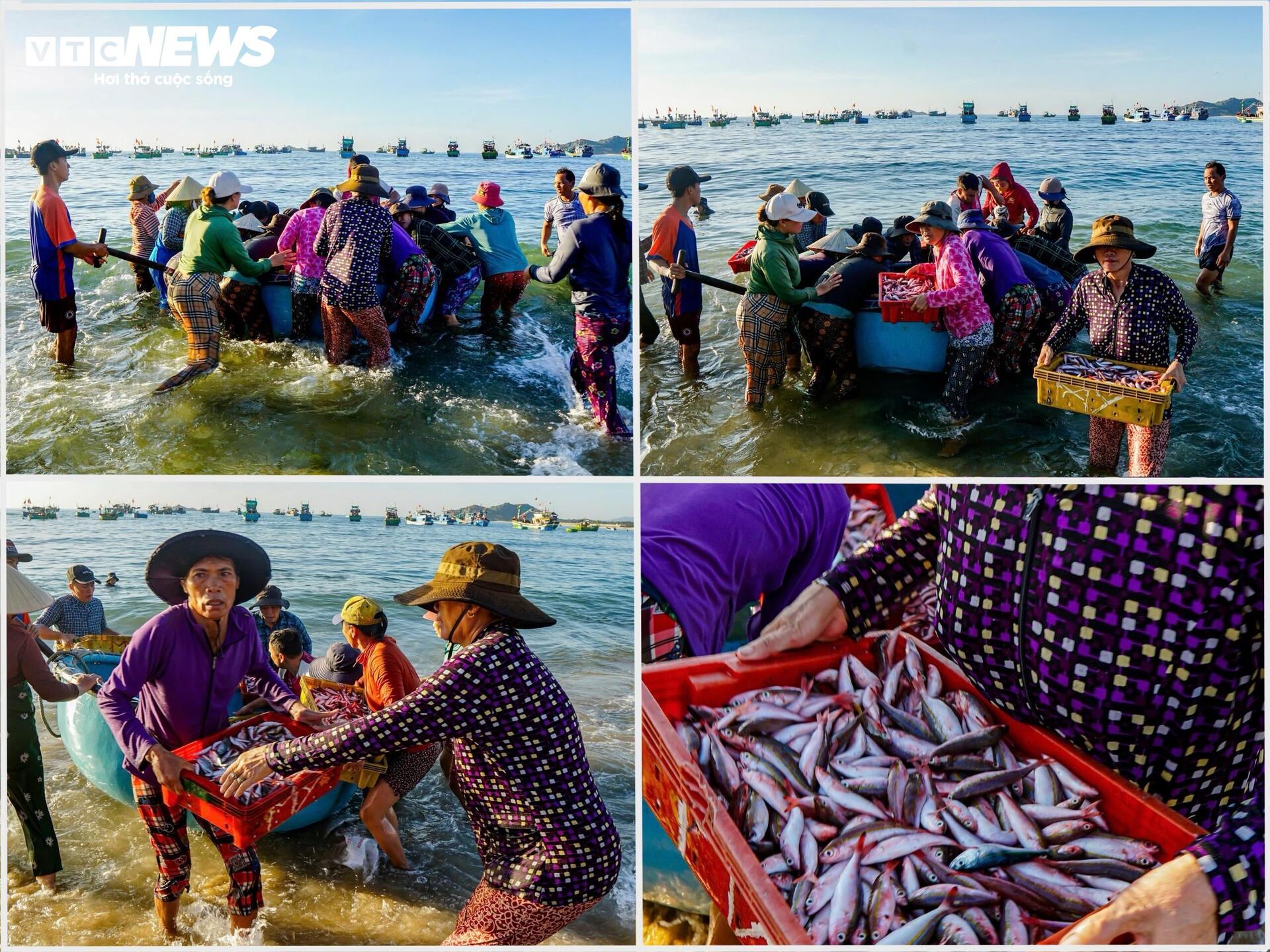 Những người phụ nữ gồng mình gánh sinh kế trên bến cá Tam Quan - 2