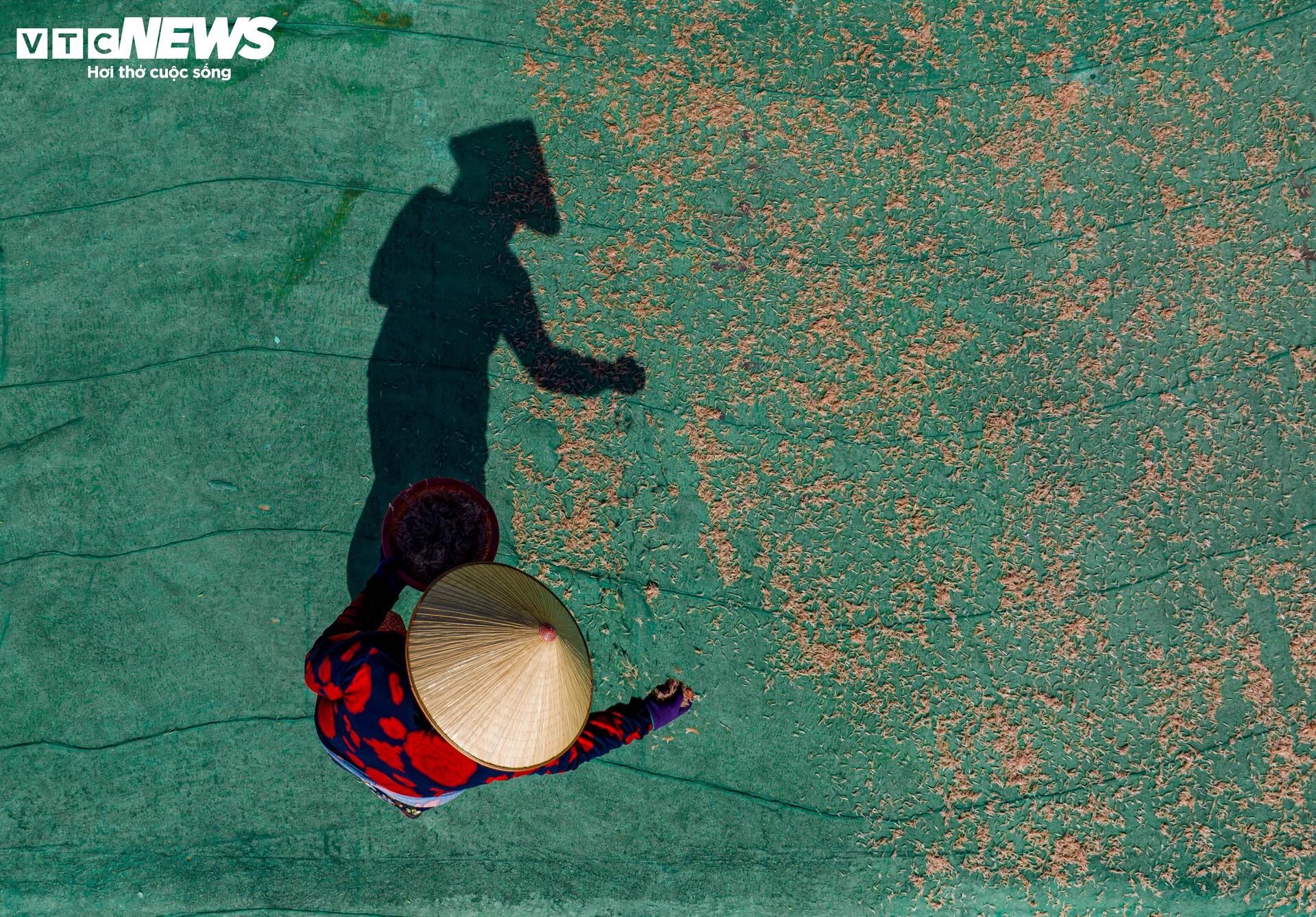 Từ bến cá đến đại ngàn: Khơi nguồn bình đẳng giới bằng quyền tự chủ kinh tế - 1