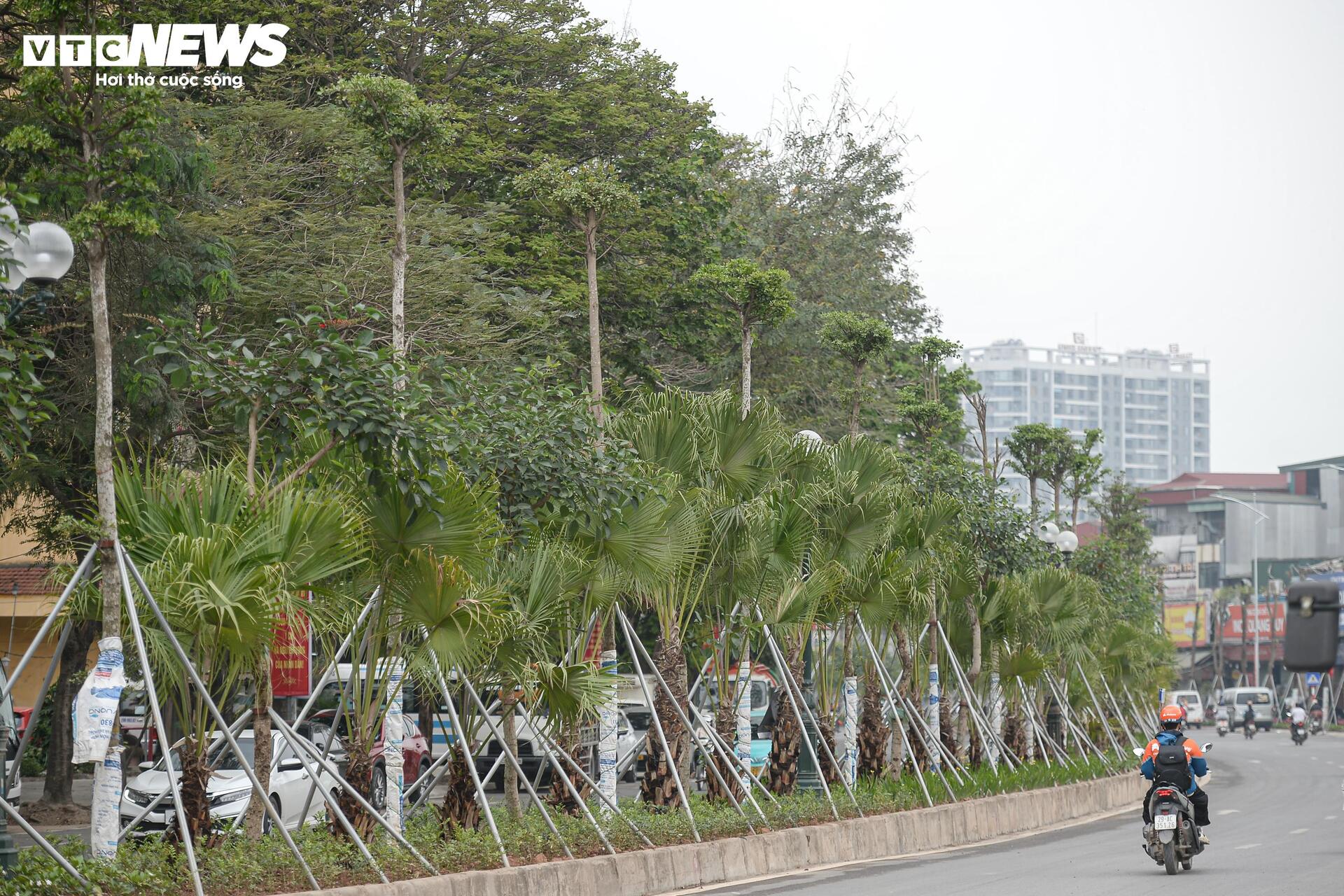 Vành đai 2,5 Đầm Hồng sắp cán đích, dân thoát cảnh bụi bặm kéo dài nhiều năm - 8