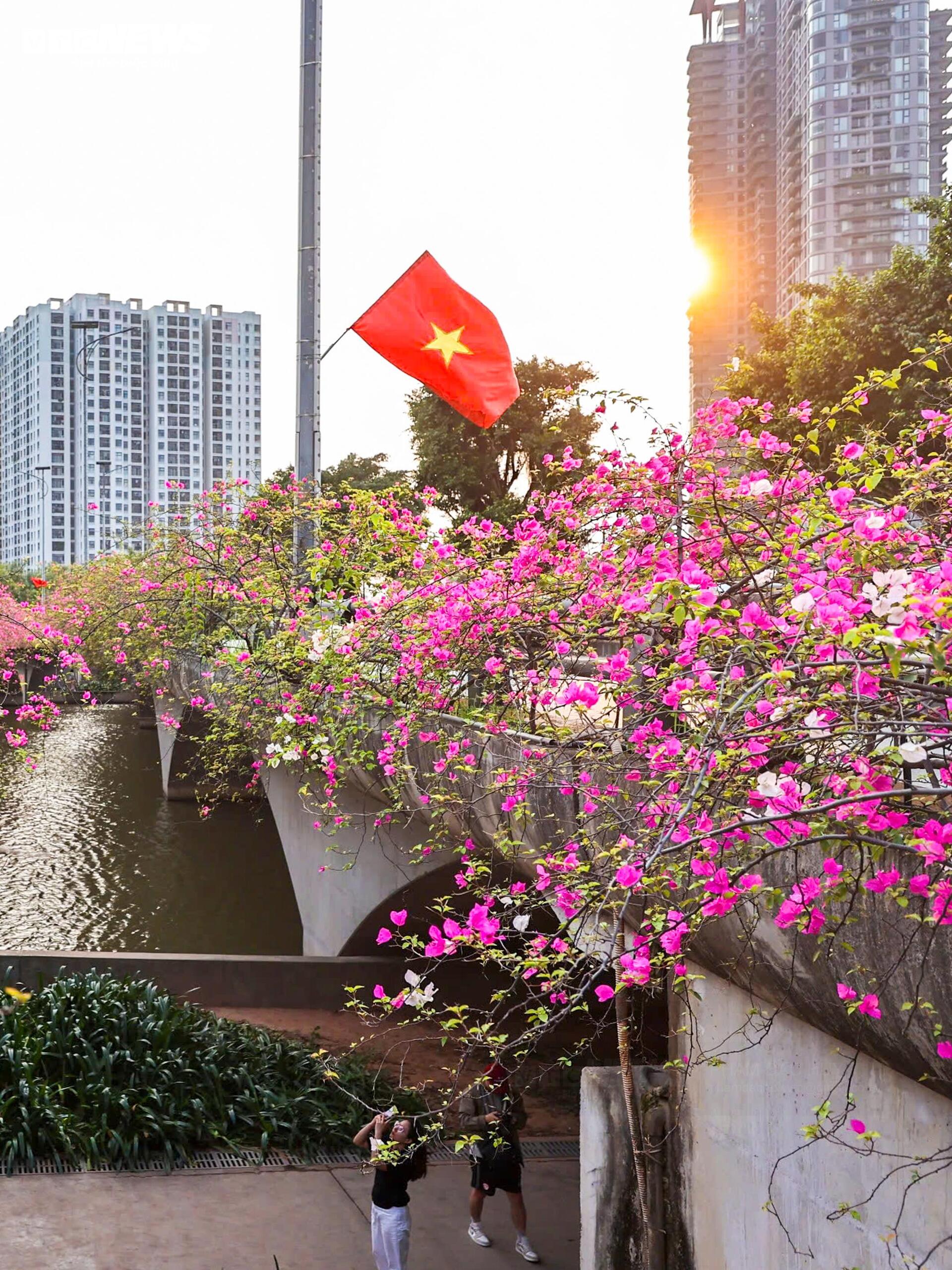 Hoa giấy phủ kín cầu Thủy Tiên, khung cảnh như 'xứ sở thần tiên' - 8