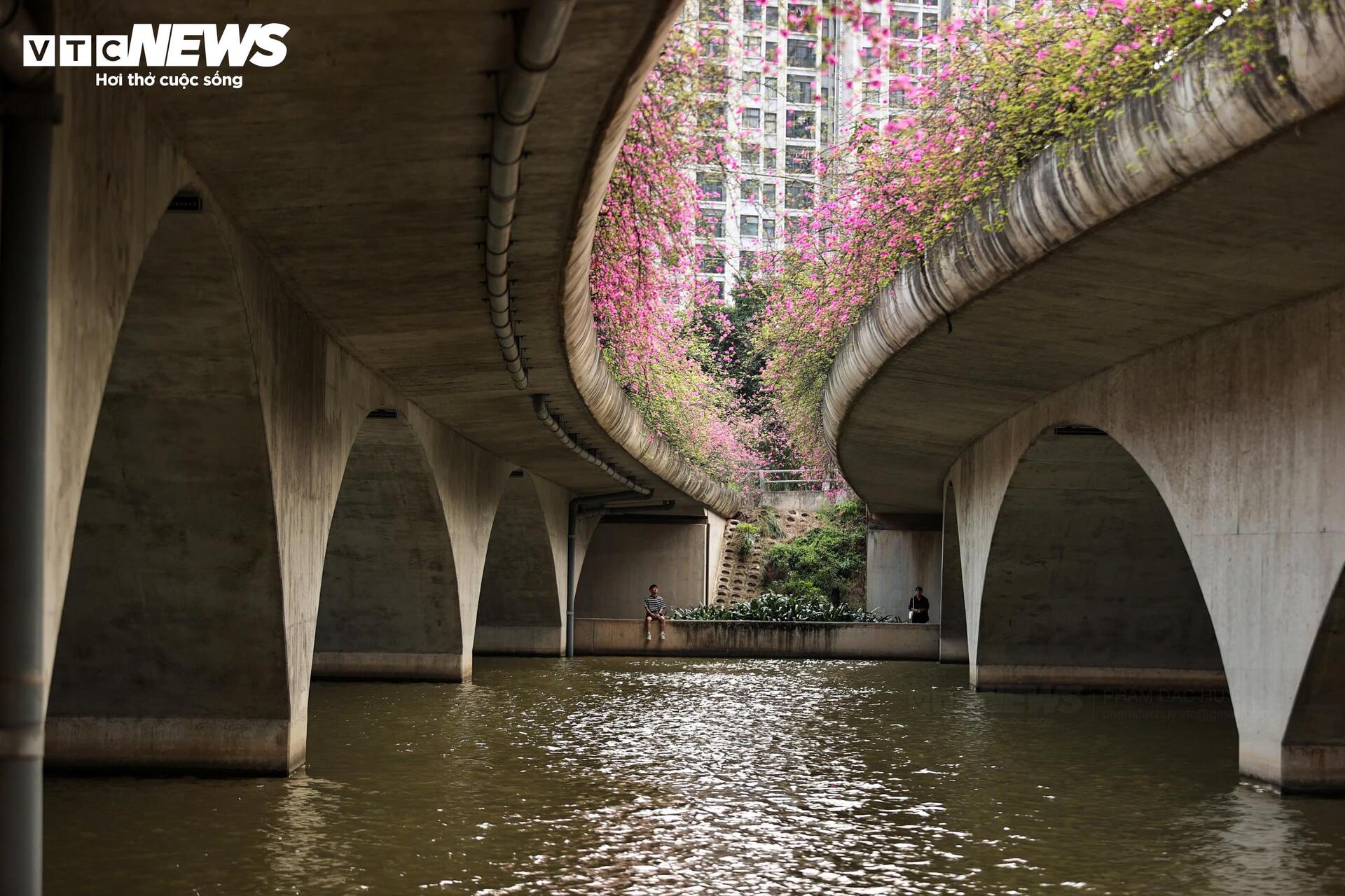 Hoa giấy phủ kín cầu Thủy Tiên, khung cảnh như 'xứ sở thần tiên' - 15