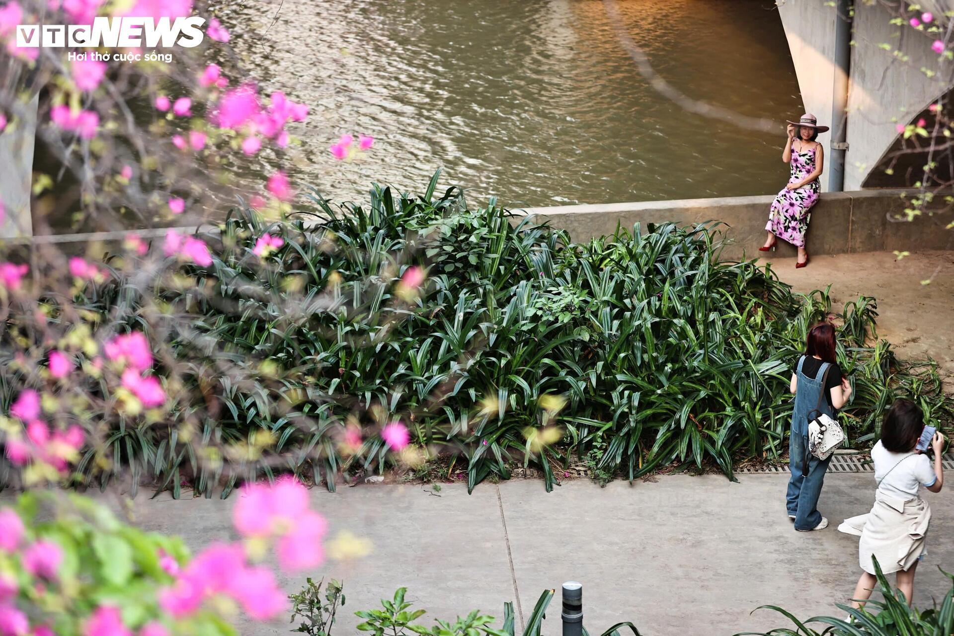 Hoa giấy phủ kín cầu Thủy Tiên, khung cảnh như 'xứ sở thần tiên' - 10