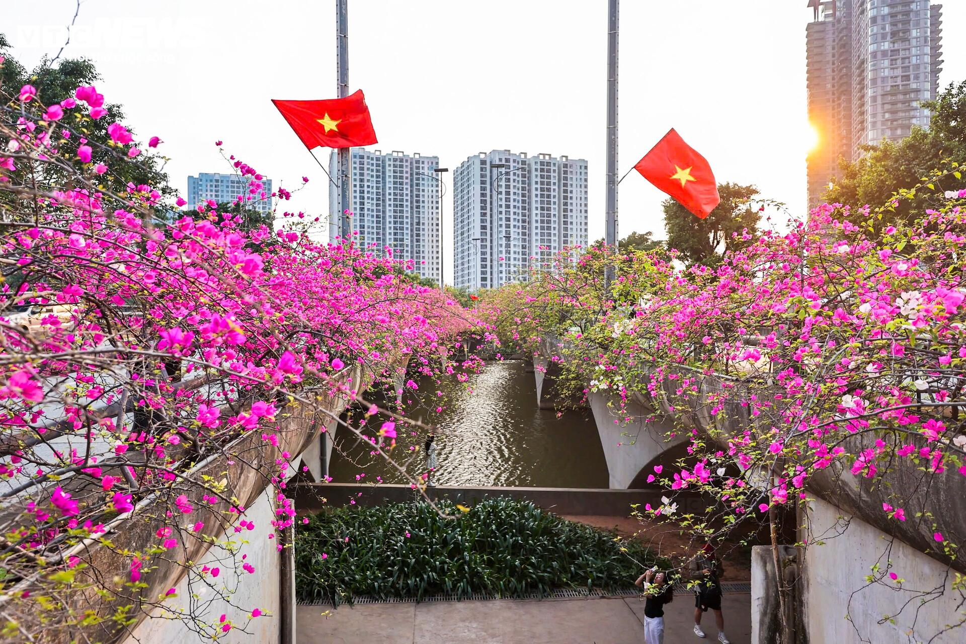 Hoa giấy phủ kín cầu Thủy Tiên, khung cảnh như 'xứ sở thần tiên' - 1