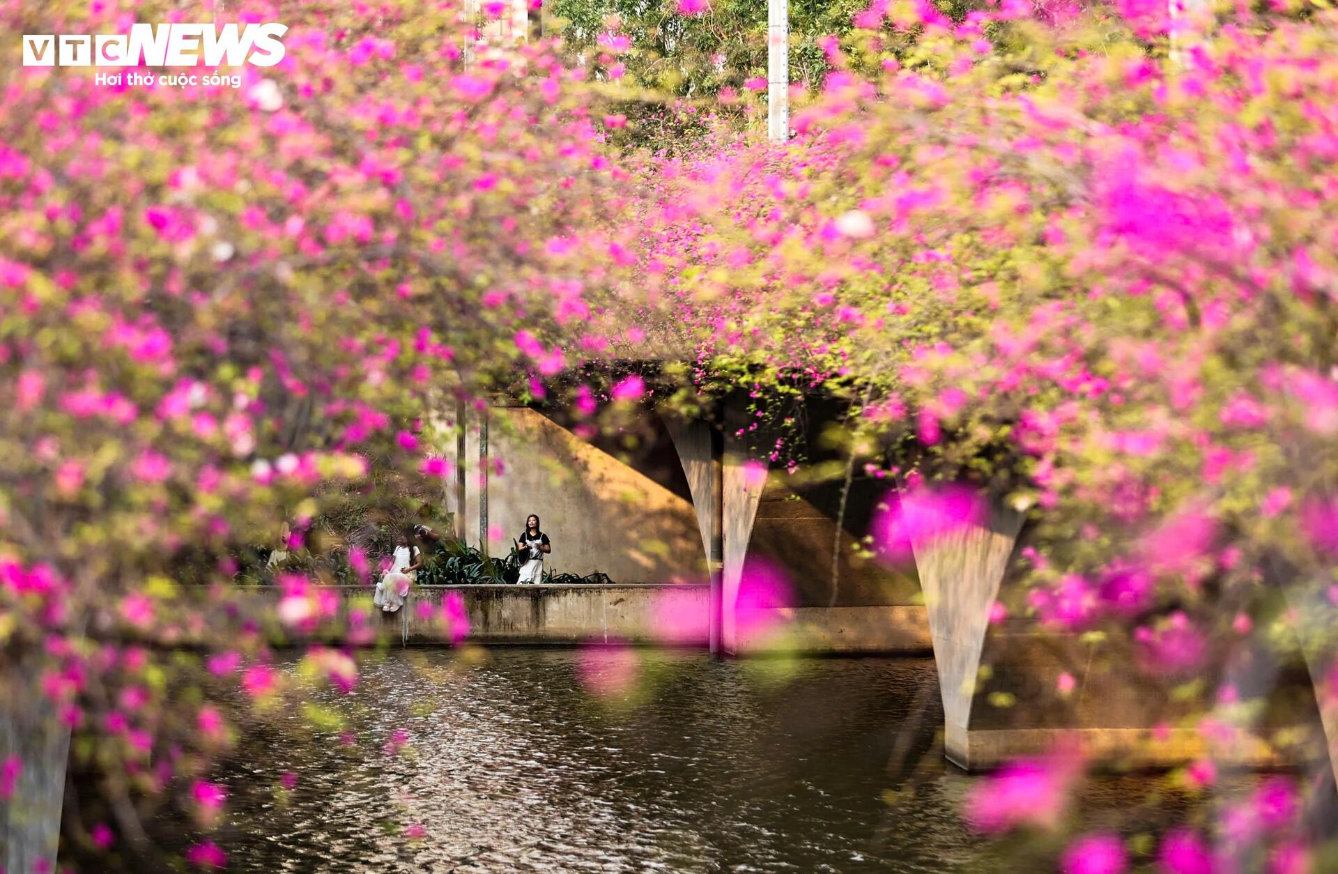 Hoa giấy phủ kín cầu Thủy Tiên, khung cảnh như 'xứ sở thần tiên' - 6