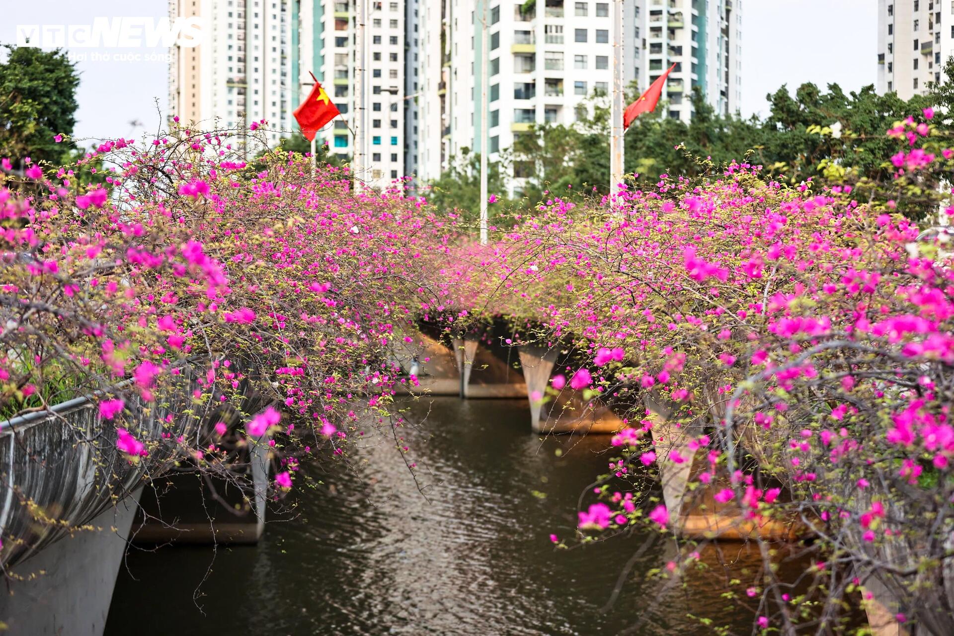 Hoa giấy phủ kín cầu Thủy Tiên, khung cảnh như 'xứ sở thần tiên' - 17