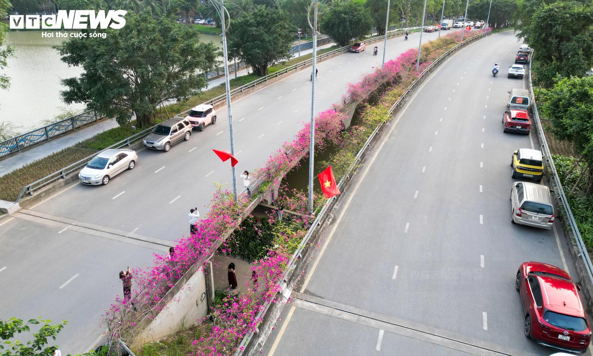 Hoa giấy phủ kín cầu Thủy Tiên, khung cảnh như 'xứ sở thần tiên' - 3