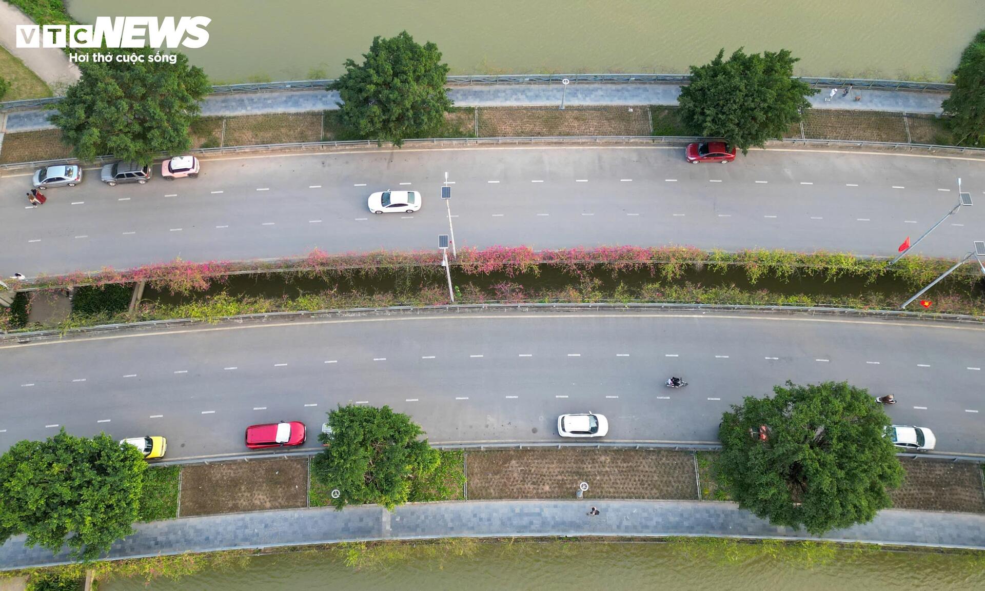 Hoa giấy phủ kín cầu Thủy Tiên, khung cảnh như 'xứ sở thần tiên' - 4