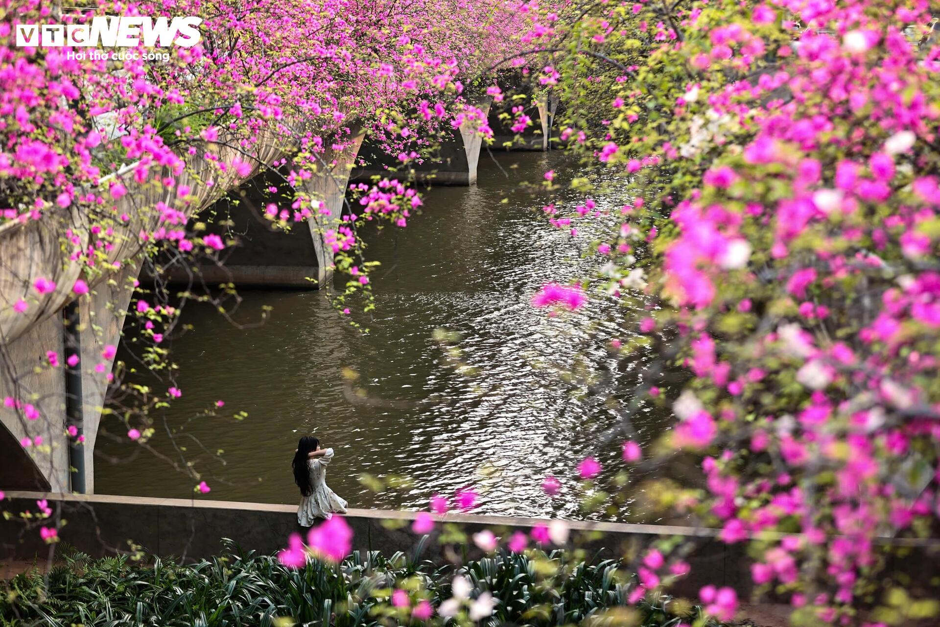 Hoa giấy phủ kín cầu Thủy Tiên, khung cảnh như 'xứ sở thần tiên' - 9