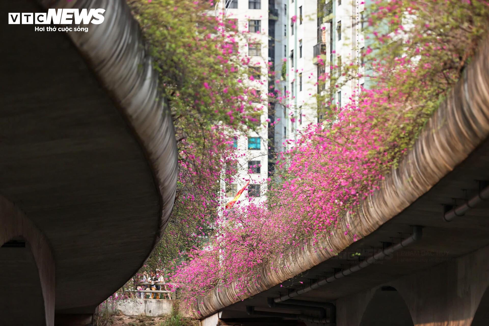 Hoa giấy phủ kín cầu Thủy Tiên, khung cảnh như 'xứ sở thần tiên' - 5