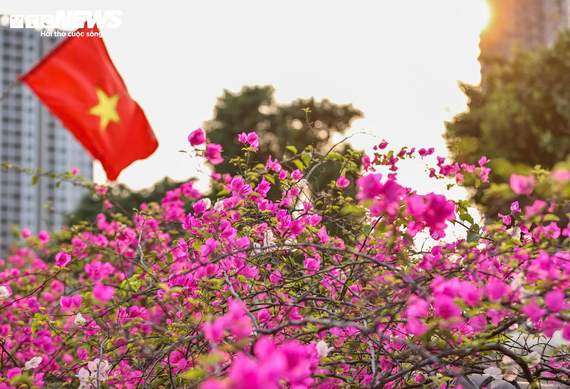 Hoa giấy phủ kín cầu Thủy Tiên, khung cảnh như 'xứ sở thần tiên' - 7