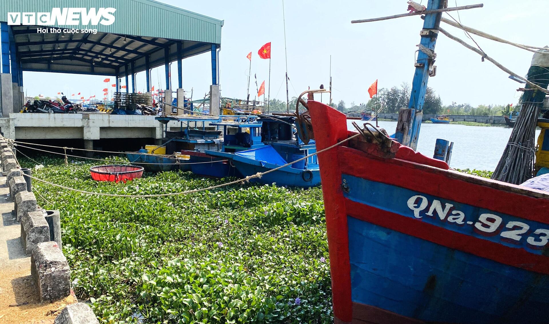 Cảng cá 120 tỷ xây xong 'chỉ để ngắm', ngư dân chờ hoài chẳng thấy cảnh bán buôn - 7