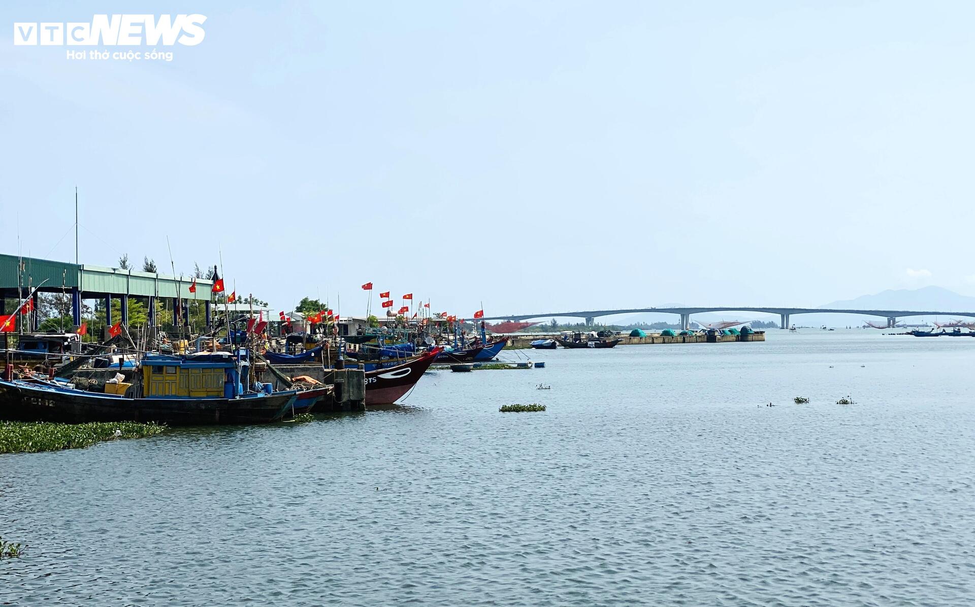 Cảng cá 120 tỷ xây xong 'chỉ để ngắm', ngư dân chờ hoài chẳng thấy cảnh bán buôn - 3