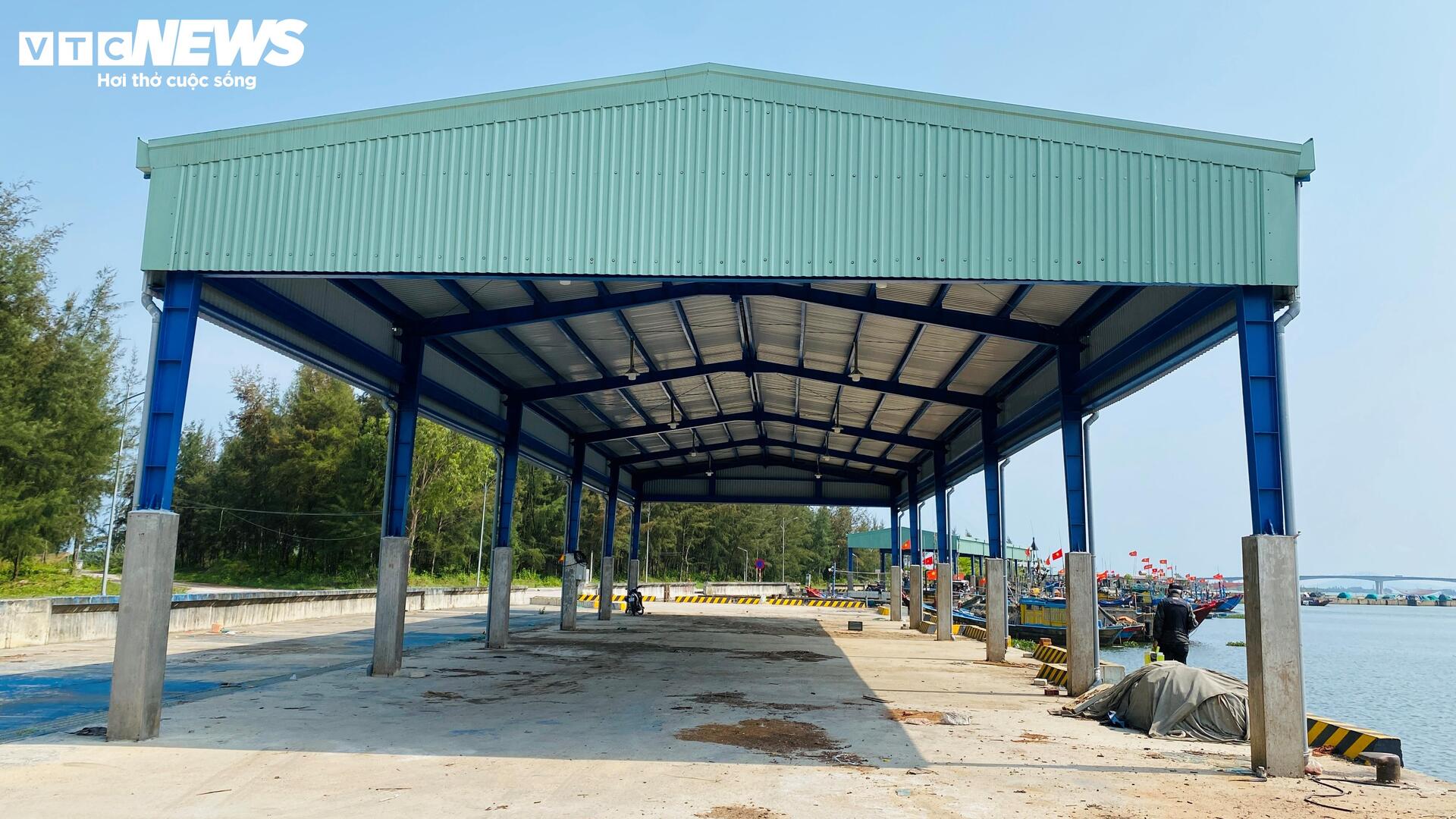 Cảng cá 120 tỷ xây xong 'chỉ để ngắm', ngư dân chờ hoài chẳng thấy cảnh bán buôn - 8