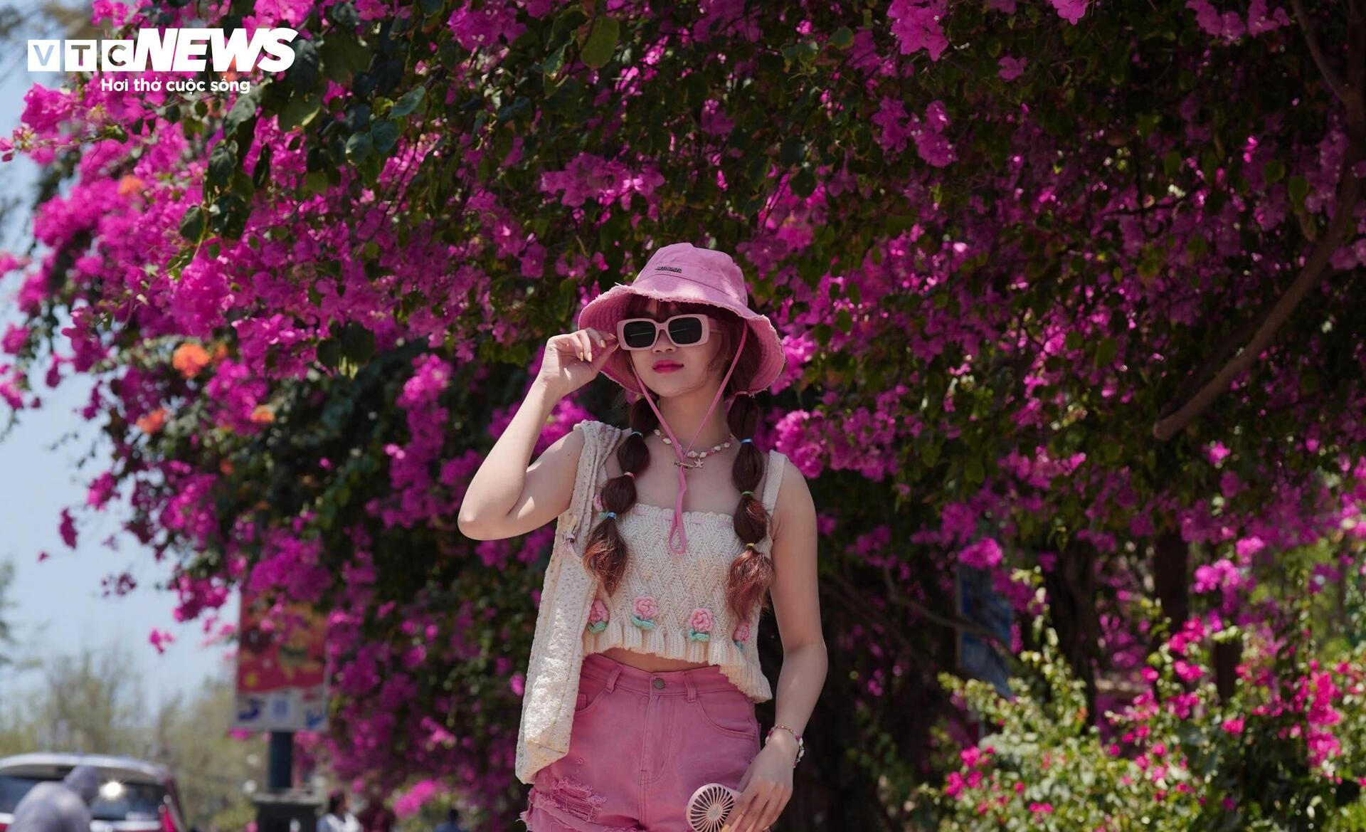 Hoa giấy nhuộm hồng đường ven biển đẹp nhất TP.HCM - 4