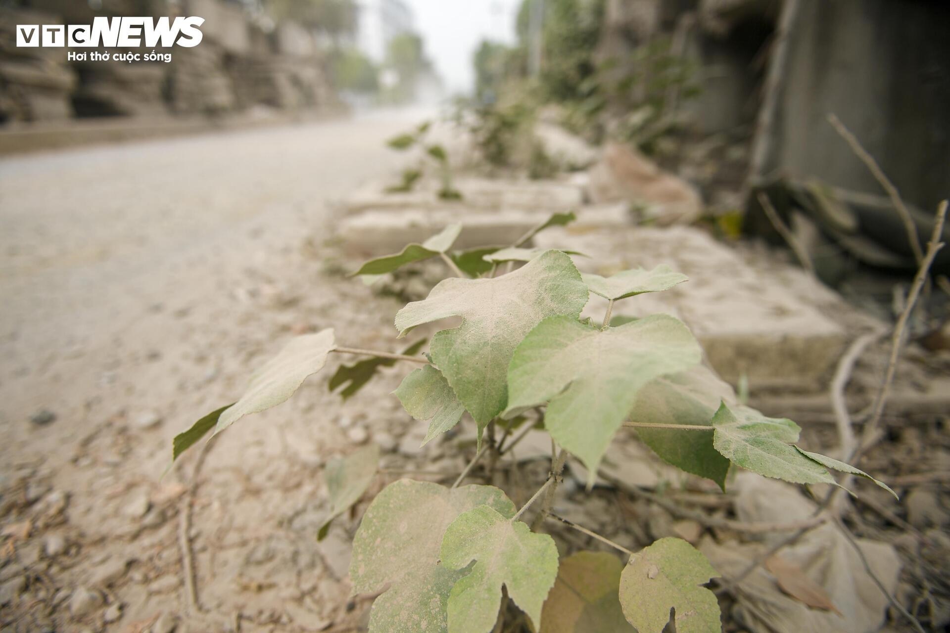 Đường 2km làm 10 năm chưa xong, dân mòn mỏi sống trong bụi bẩn, ô nhiễm - 9