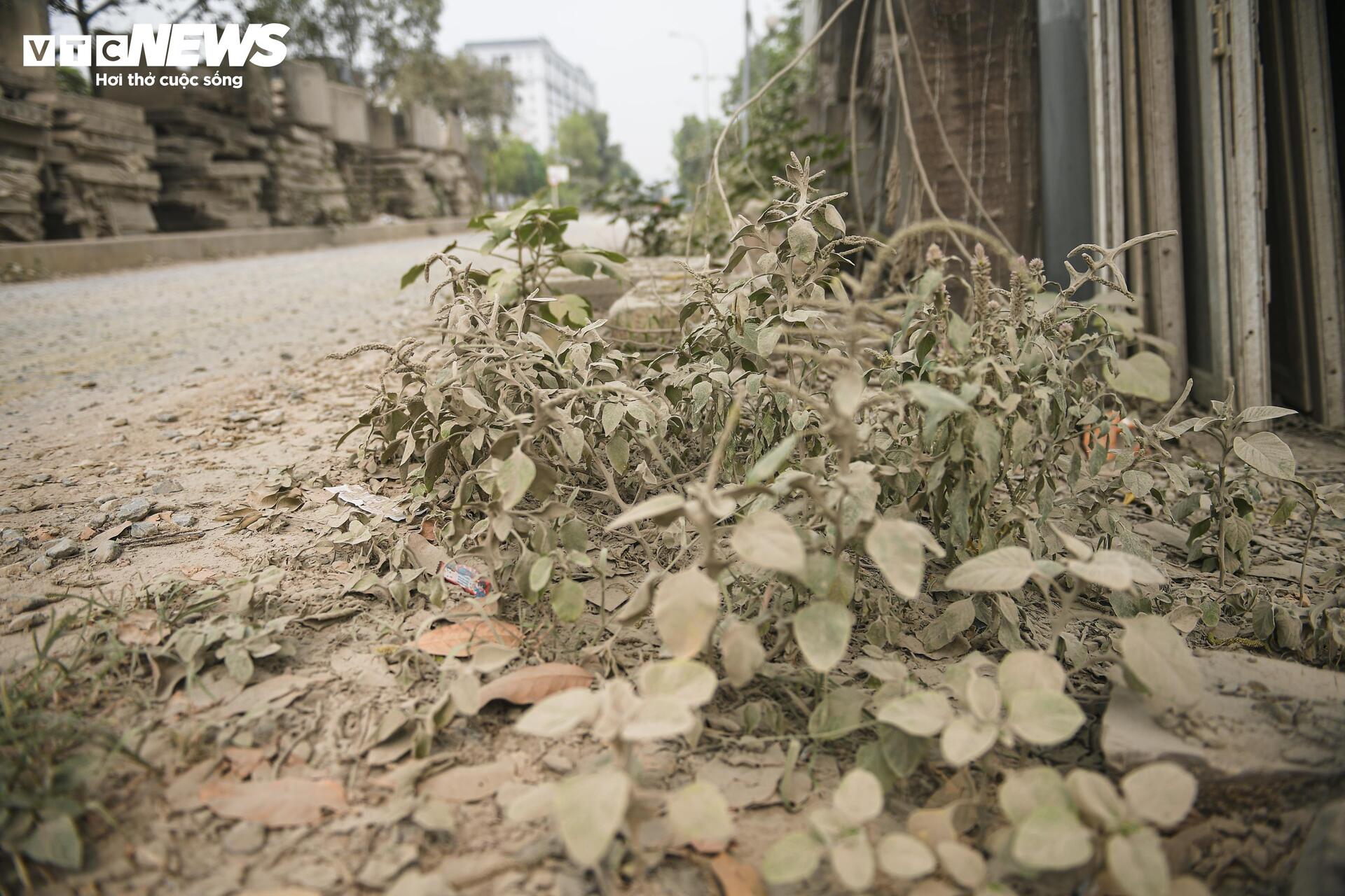 Đường 2km làm 10 năm chưa xong, dân mòn mỏi sống trong bụi bẩn, ô nhiễm - 8