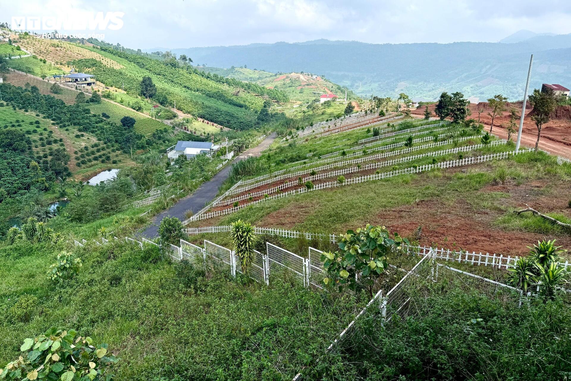 Đất nền phân lô 'chôn vốn' 4 năm, rao bán cắt lỗ không ai mua - 2