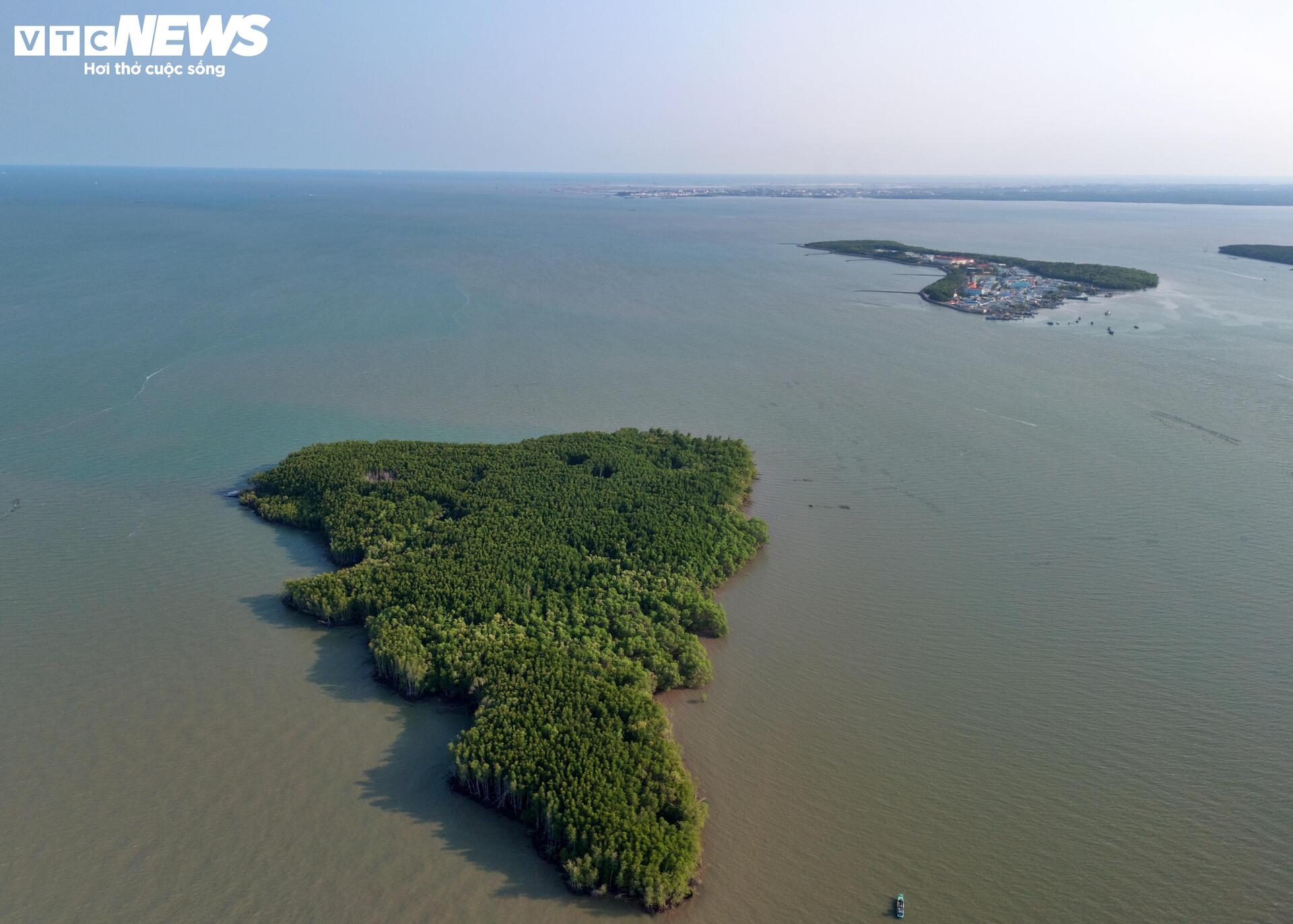 Cận cảnh siêu cảng quốc tế vừa được TP.HCM trao quyết định chấp thuận nhà đầu tư - 11