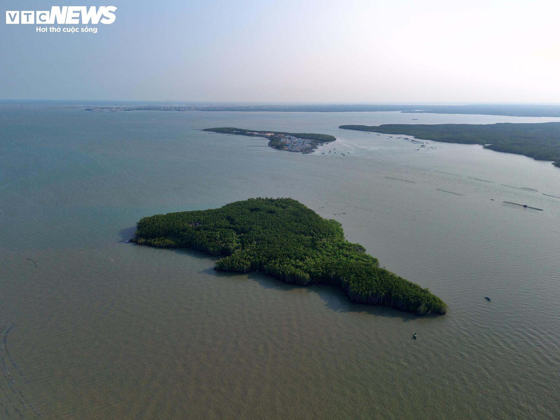 Cận cảnh siêu cảng quốc tế vừa được TP.HCM trao quyết định chấp thuận nhà đầu tư - 5