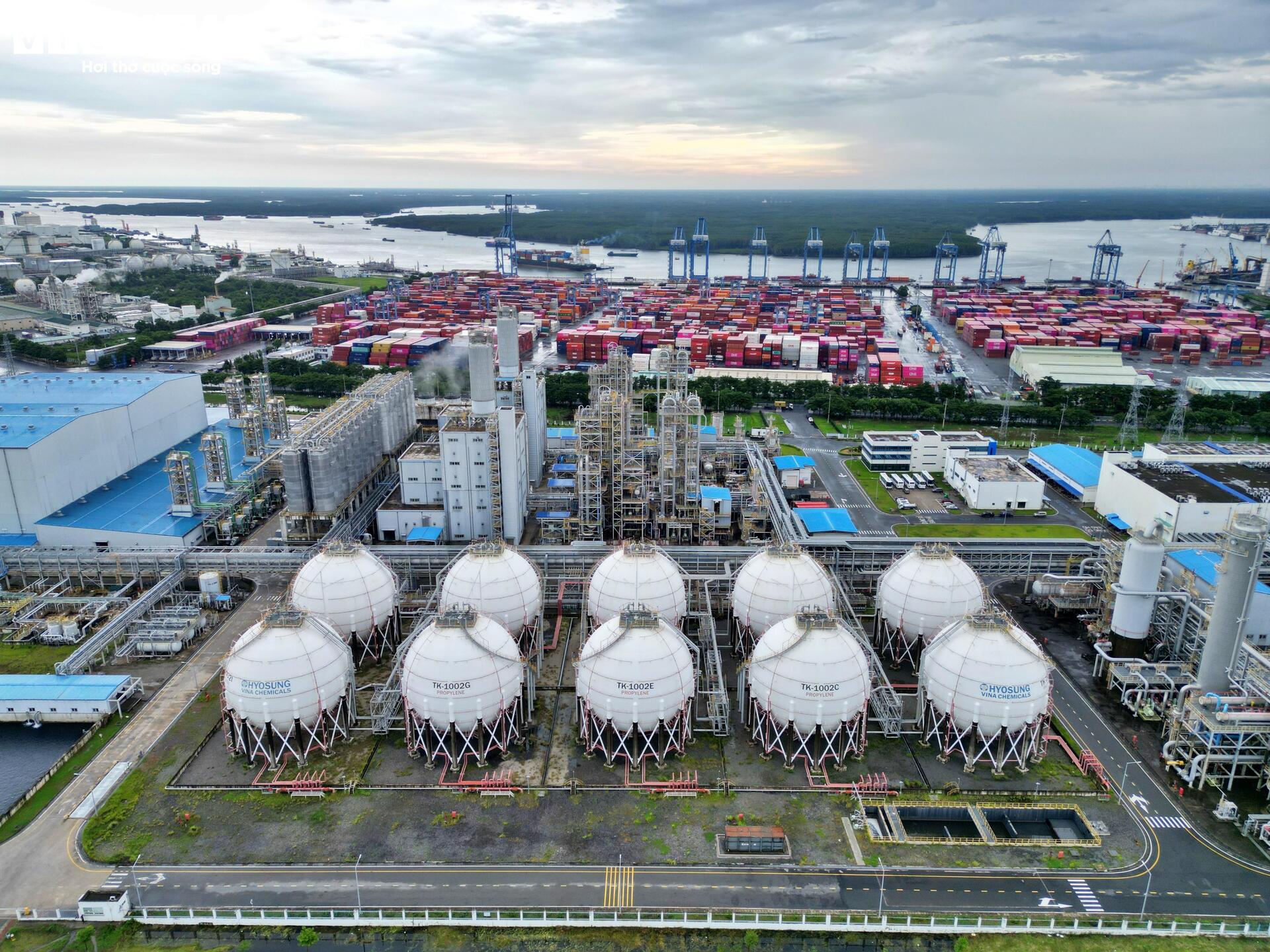 Cận cảnh siêu cảng quốc tế vừa được TP.HCM trao quyết định chấp thuận nhà đầu tư - 7