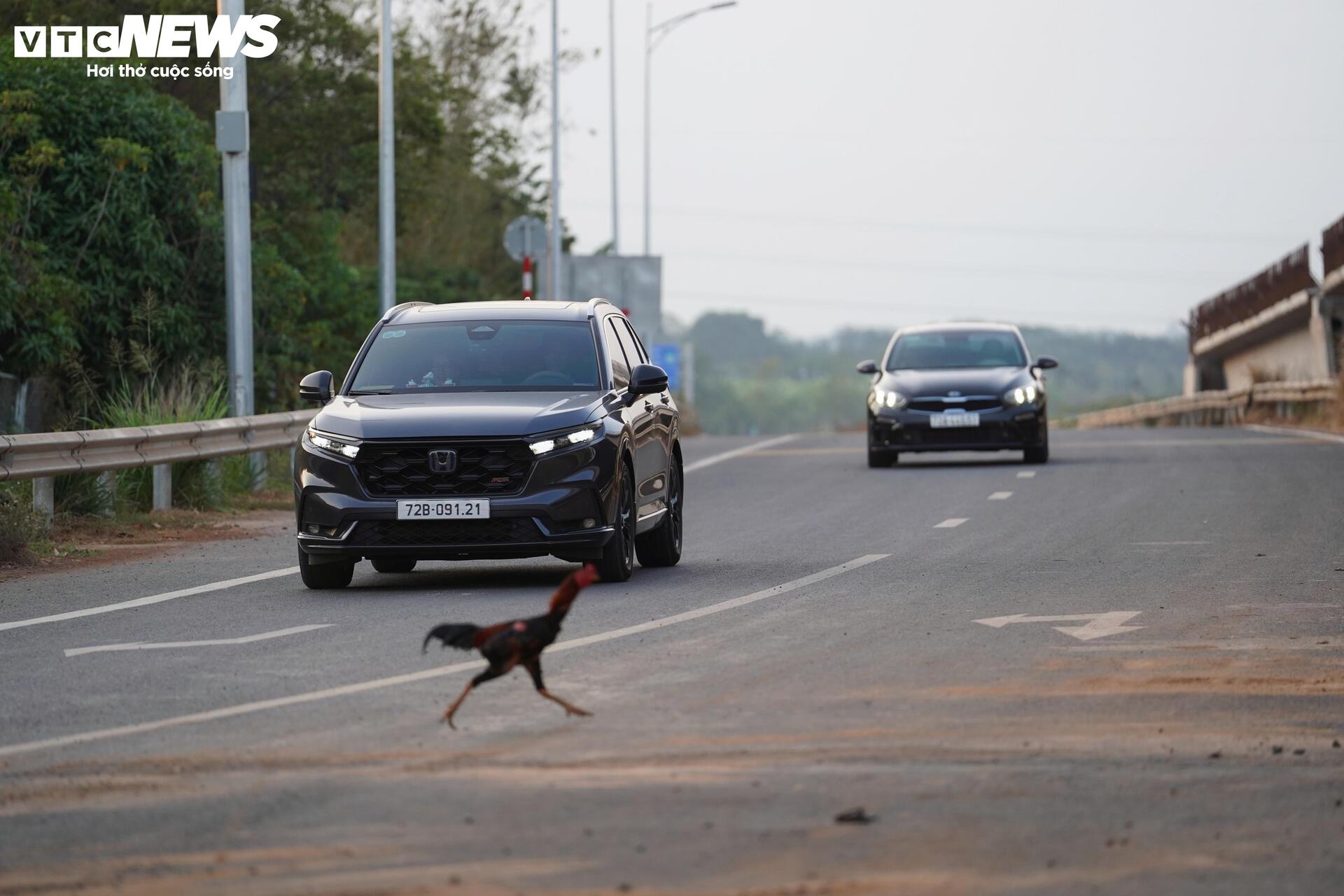 Cao tốc Biên Hòa – Vũng Tàu đón những phương tiện đầu tiên - 11