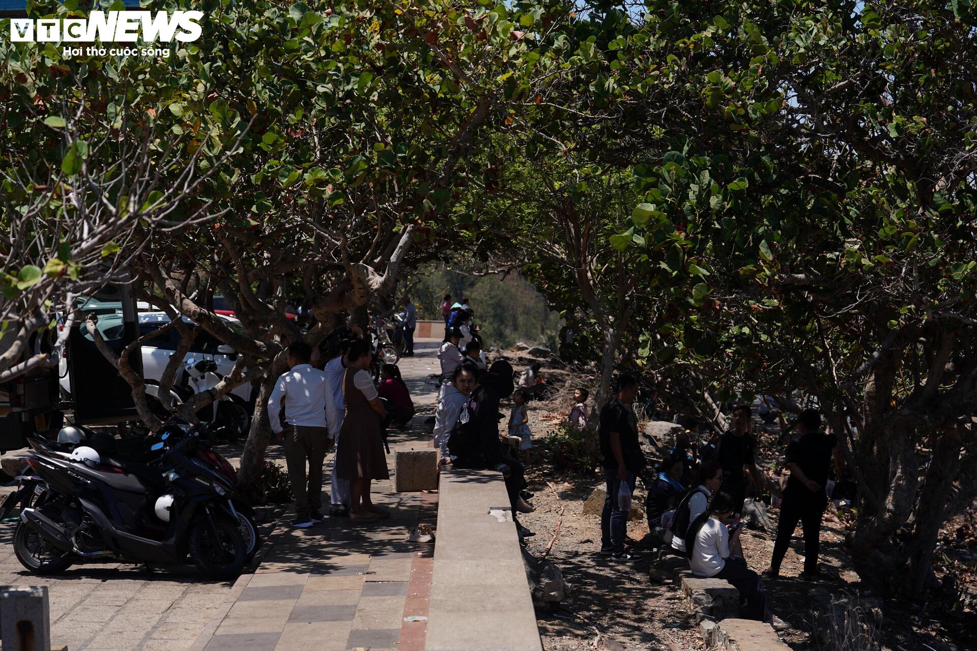 Ngày đầu nghỉ lễ, người dân trải bạt, mắc võng la liệt chờ tắm biển ở TP.HCM - 1