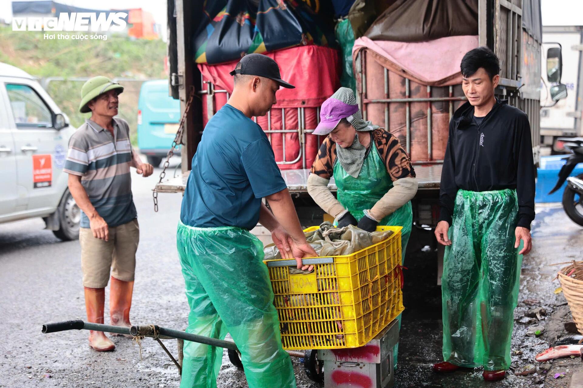 Bắt đầu tháo dỡ các hạng mục lấn chiếm quanh chợ cá tự phát lớn nhất Hà Nội - 15
