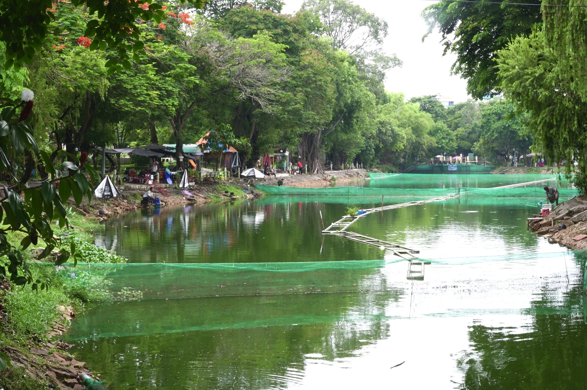 Ký ức của cậu bé 12 tuổi bên hố chôn tập thể liệt sĩ ở nghĩa trang Chí Hòa 1968 - 4