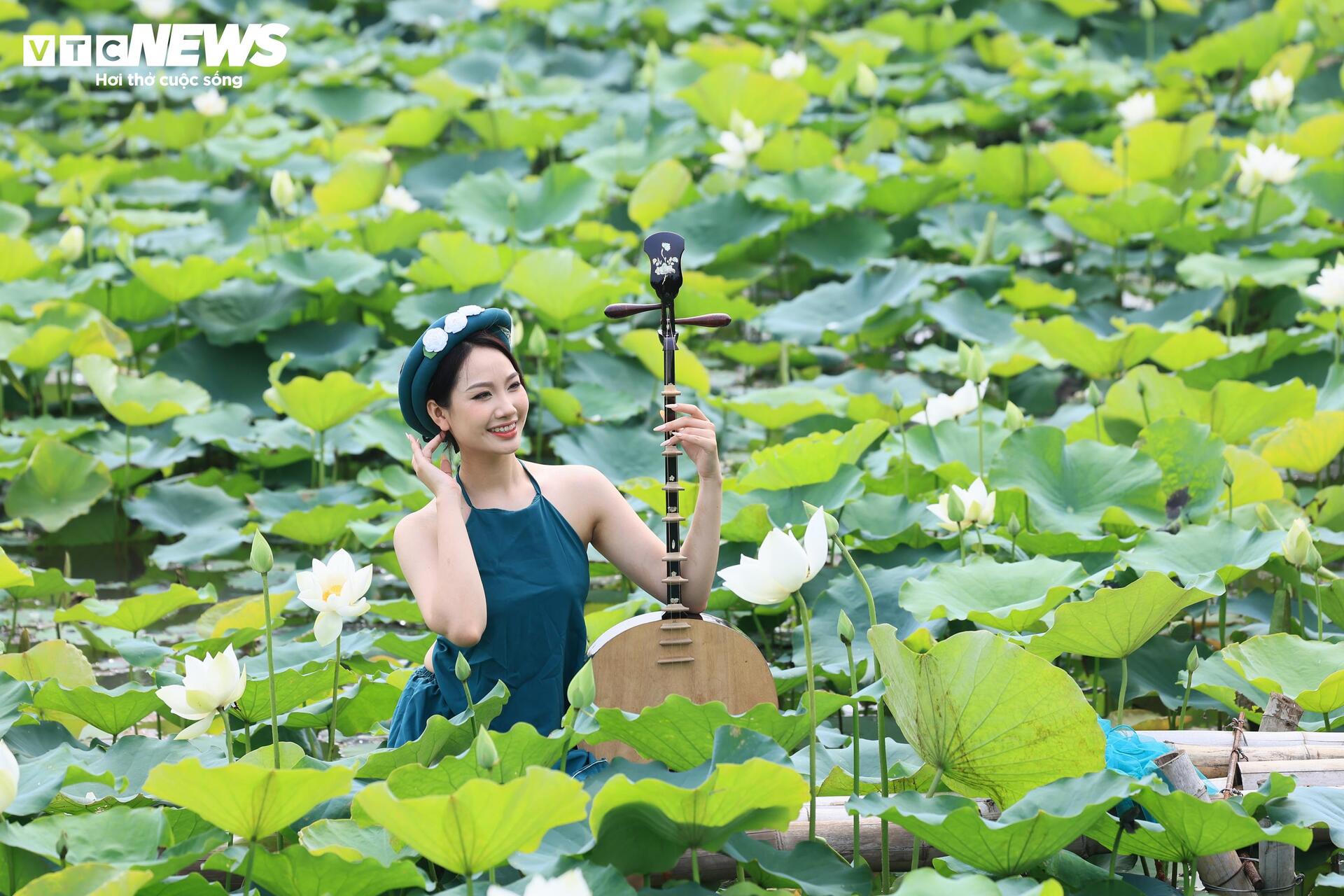 Đầm Bạch Liên hiếm gặp cách trung tâm Hà Nội 20km vào mùa đẹp nhất năm - 4