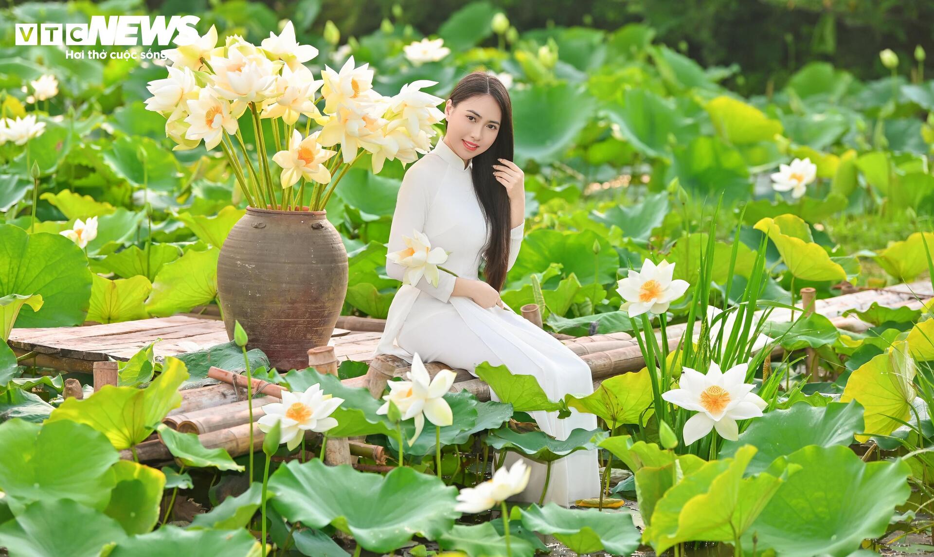 Đầm Bạch Liên hiếm gặp cách trung tâm Hà Nội 20km vào mùa đẹp nhất năm - 11