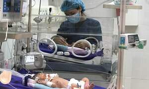 Đề nghị xử lý người truyền bá trào lưu 'sinh con thuận tự nhiên': Thông tin mới nhất