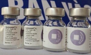 Vắc xin Quinvaxem là gì?
