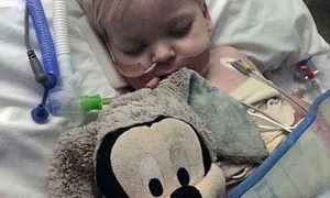 Tưởng chết vì ung thư, cậu bé đột nhiên tỉnh dậy ngay khi gia đình rút ống thở