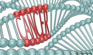 Cách thuận tự nhiên giúp bạn có lối sống lành mạnh, phòng ngừa ung thư