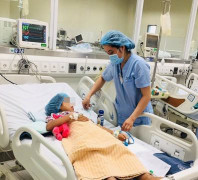 Ăn thịt cóc tự làm, chị chết thương tâm, em hôn mê nhập viện