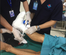 Gặp tai nạn máy cắt cỏ, người đàn ông đứt lìa 1/3 bàn chân